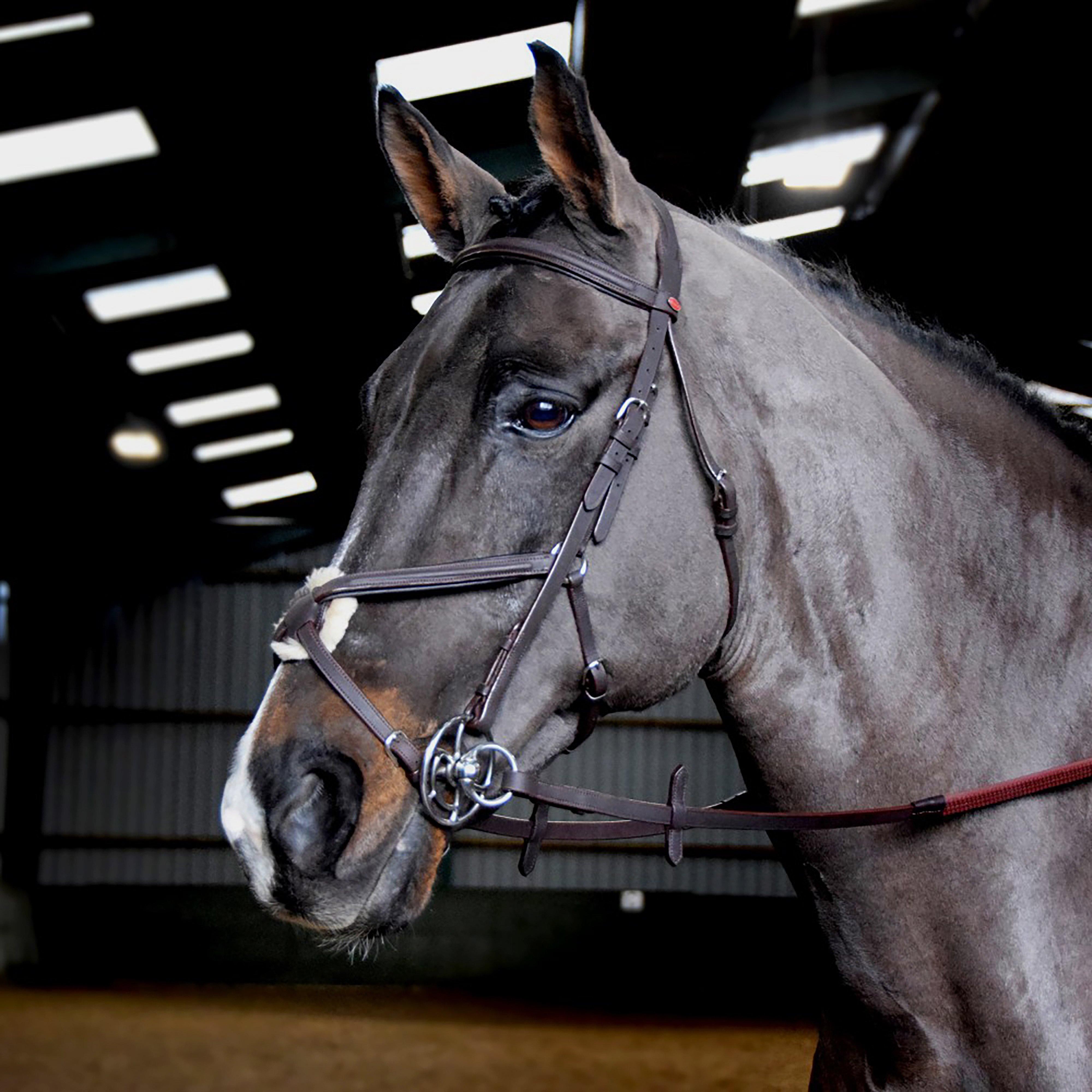  Whitaker Ready-To-Ride Mexican Bridle, Brown