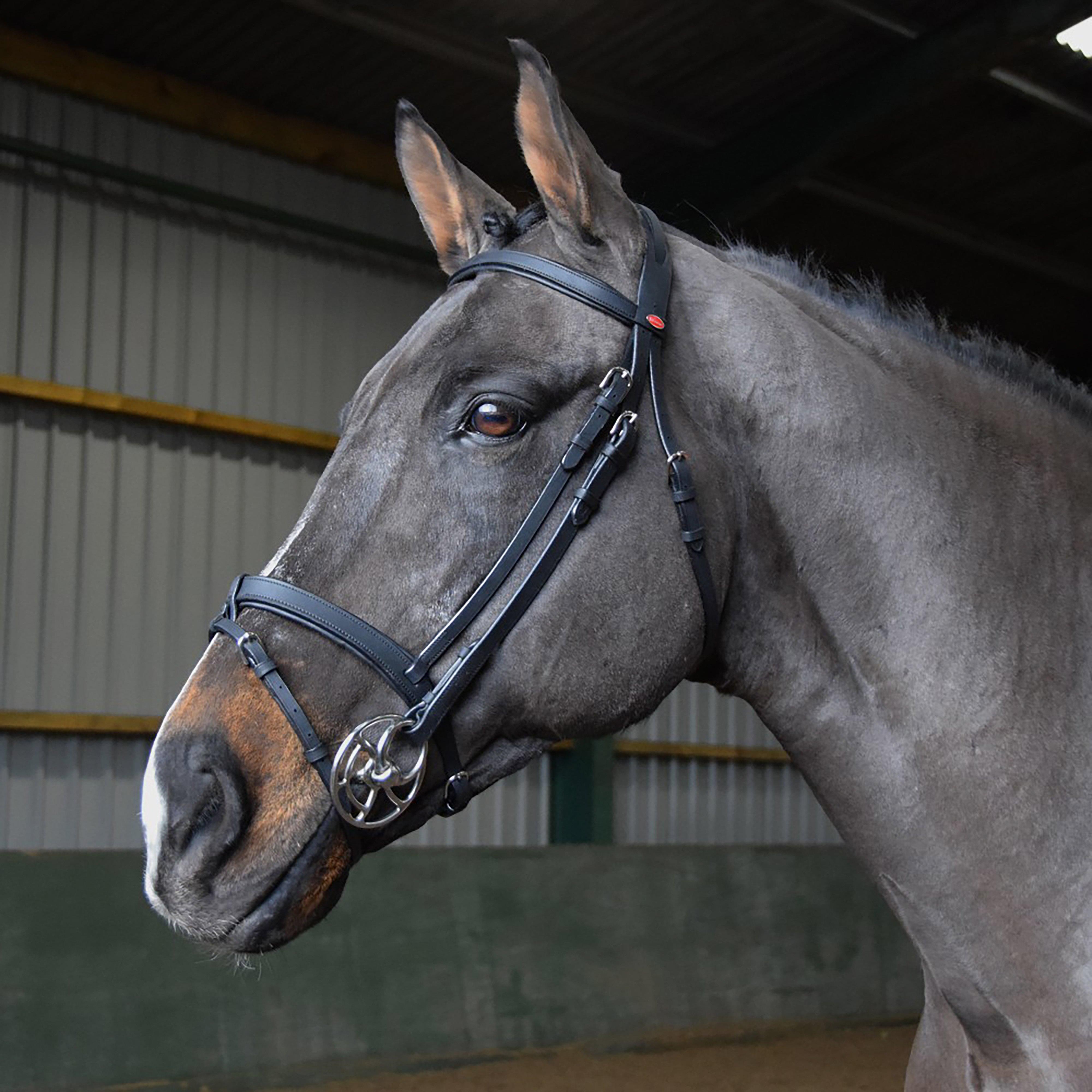 Image of Whitaker Ready-To-Ride Snaffle Flash Bridle, Blue