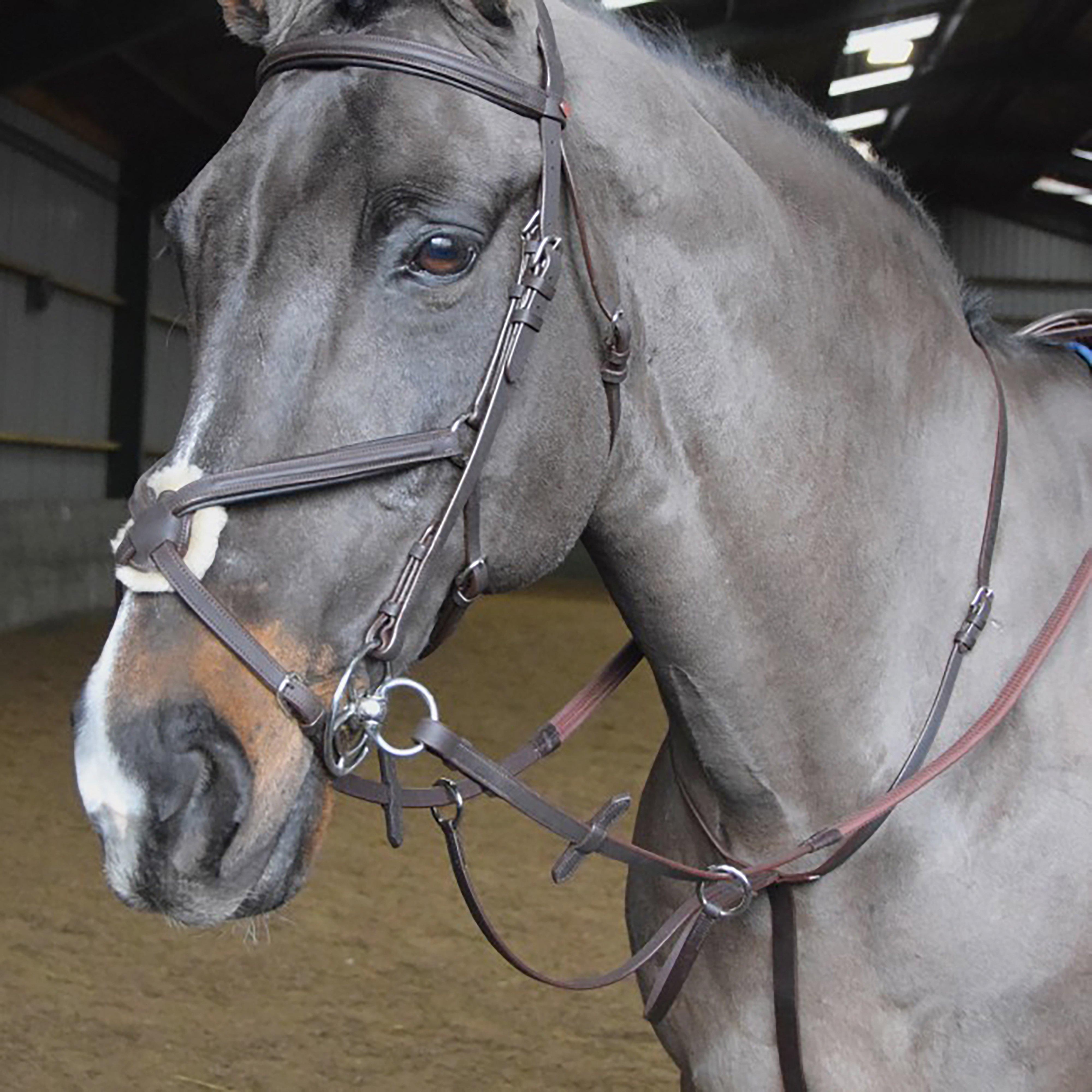 Image of Whitaker Ready-To-Ride Martingale, Brown