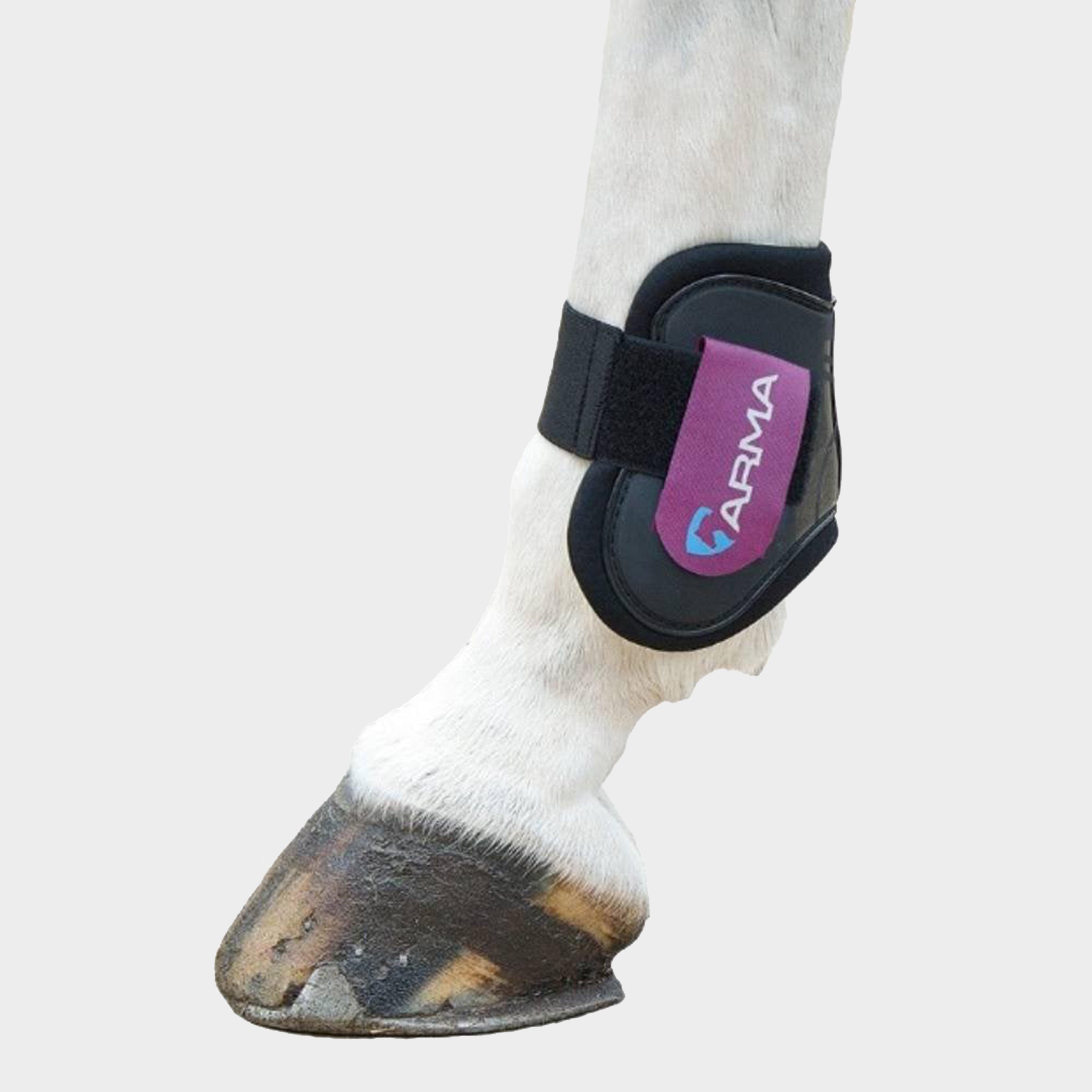 Image of Arma Fetlock Boots Black/Plum