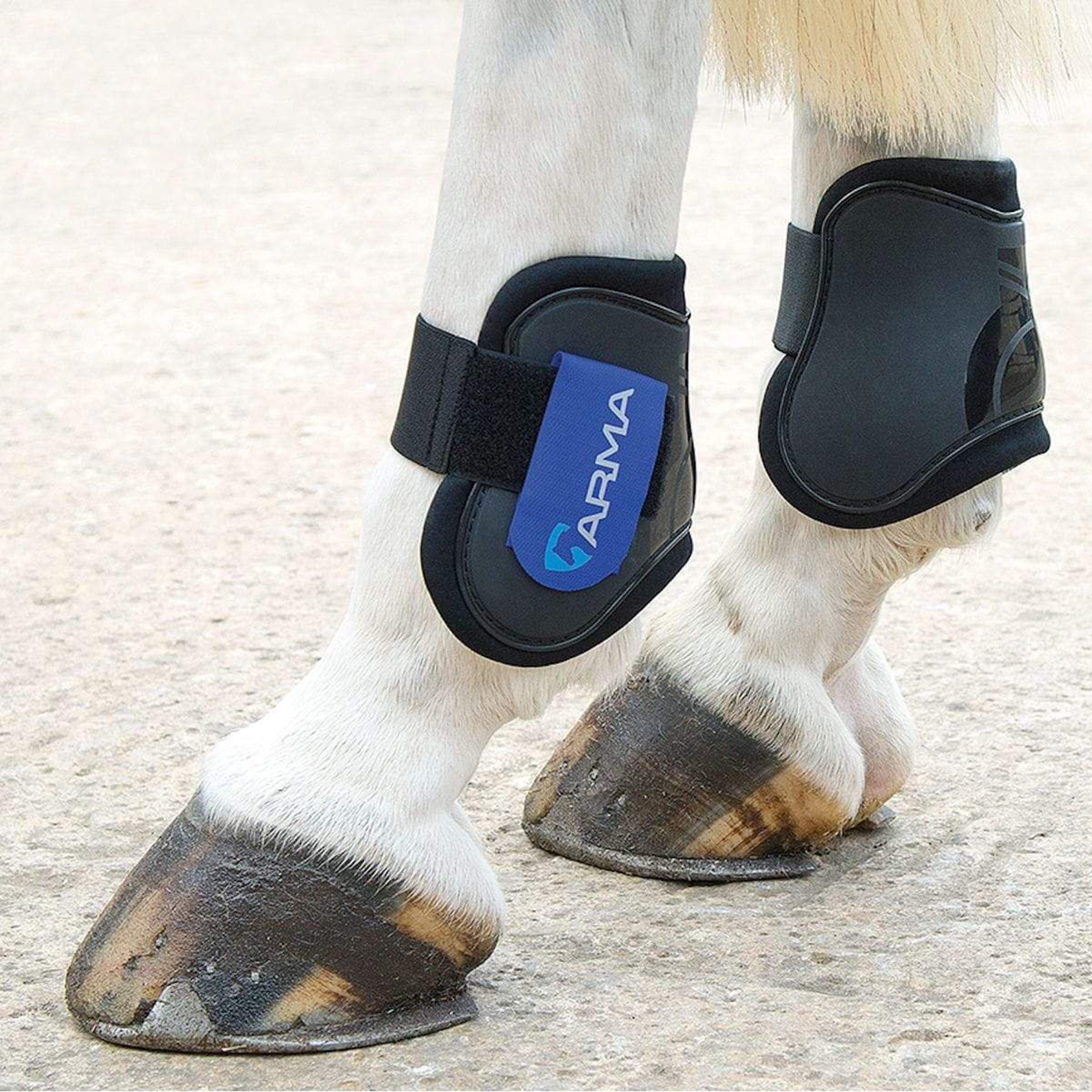 Image of Arma Fetlock Boots Black/Royal Blue, Black