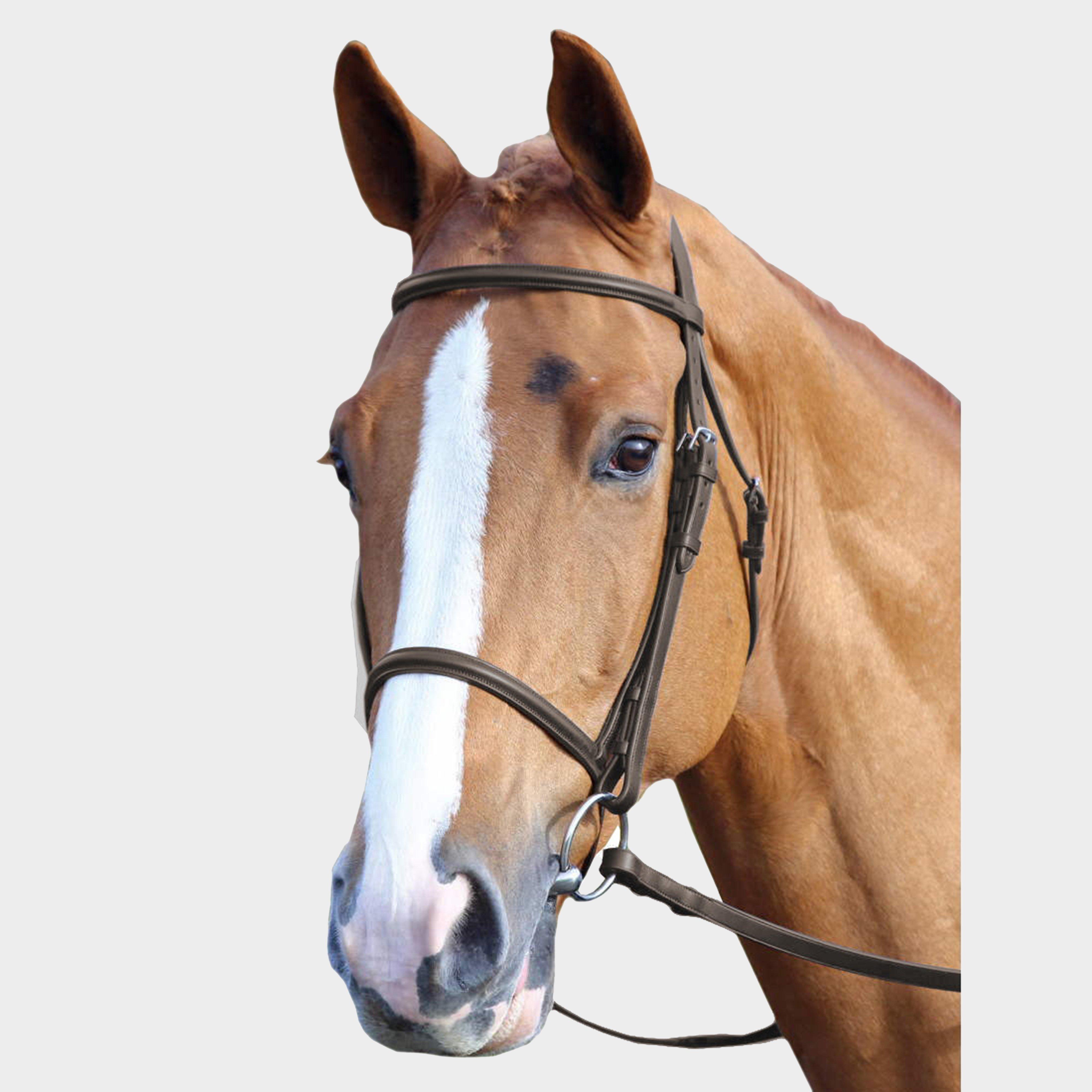 Image of Velociti Raised Cavesson Bridle, Brown