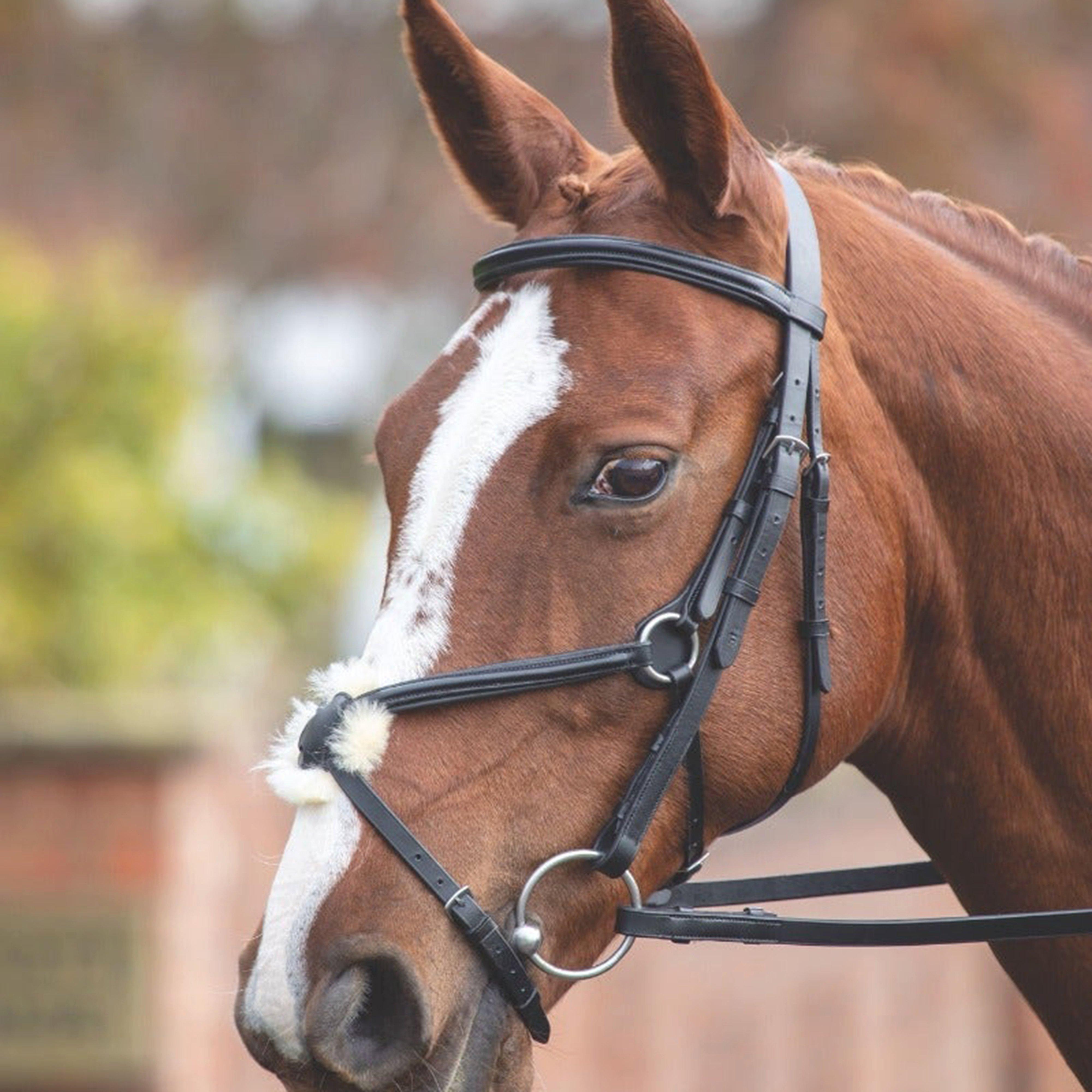  Velociti Mexican Bridle, Black