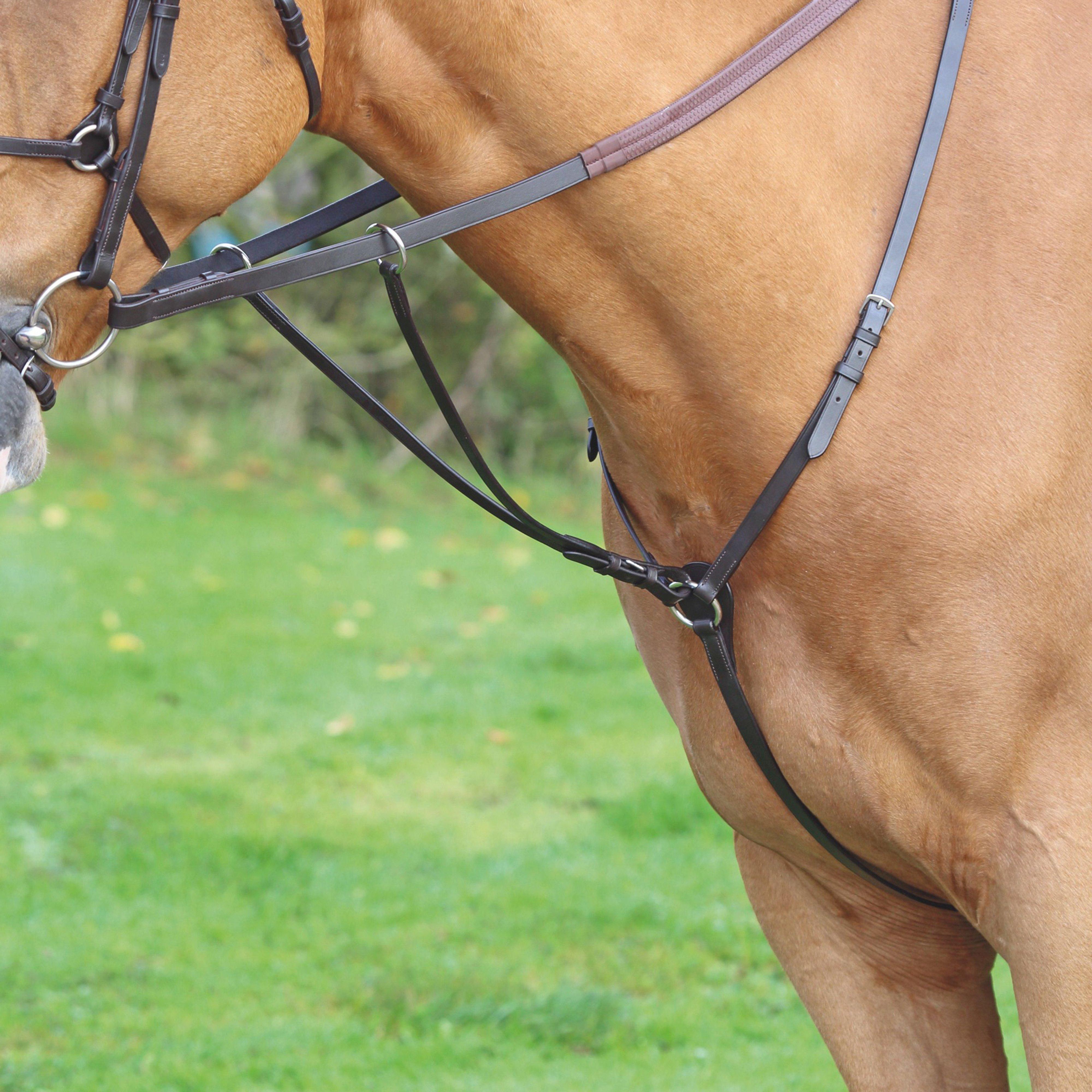 Image of Velociti Aviemore Hunt Weight Breastplate, Brown