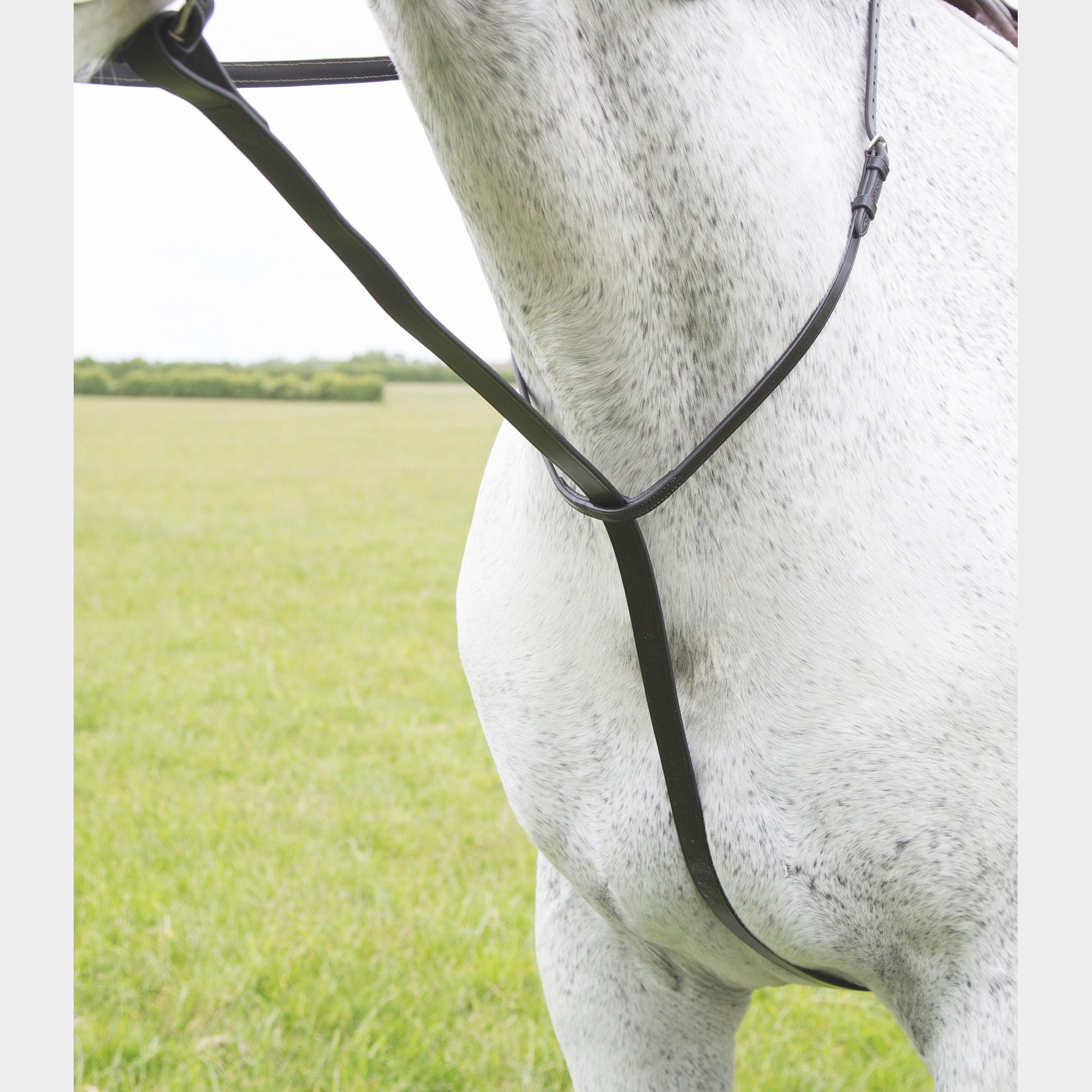 Image of Velociti Standing Martingale, Brown