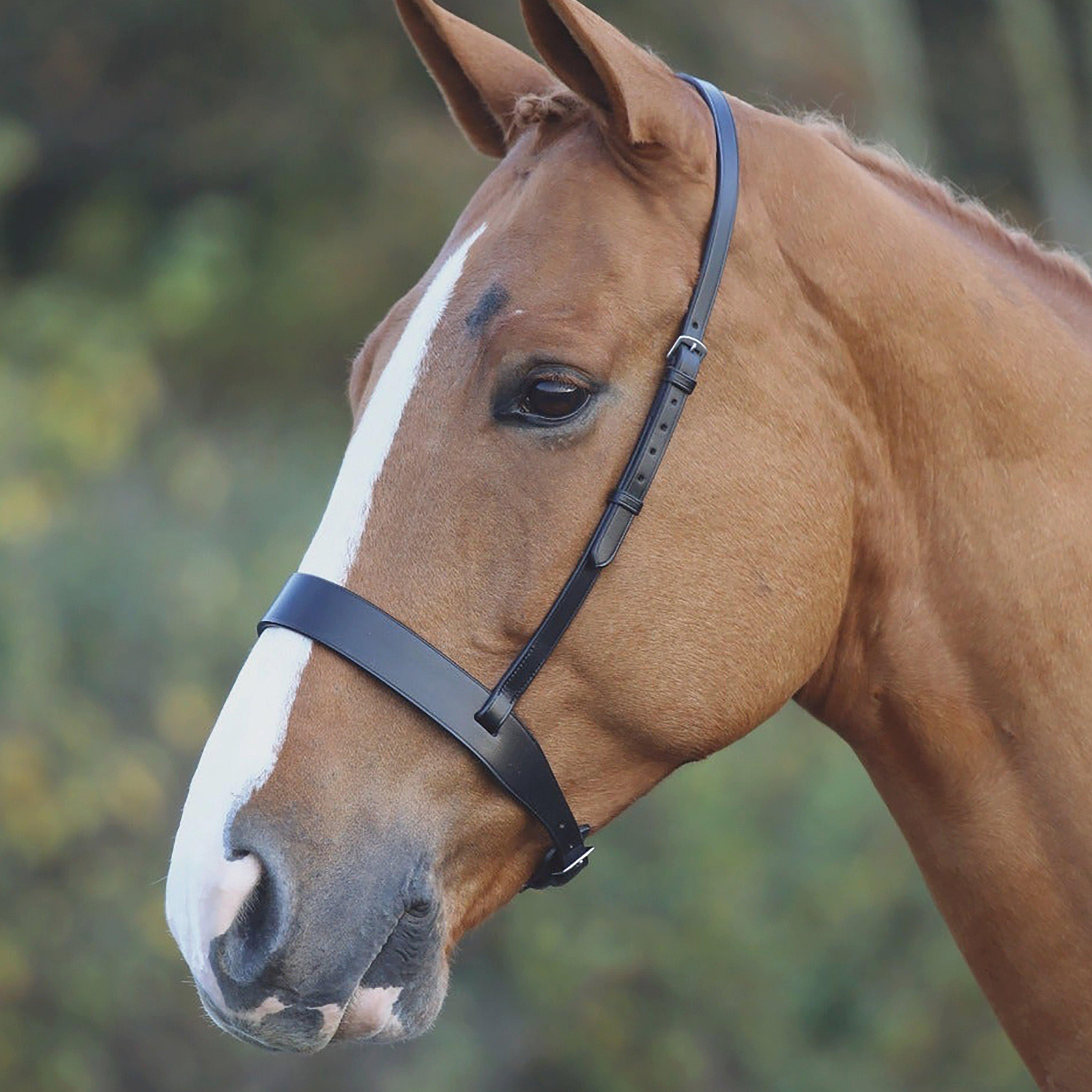 Image of Velociti Cavesson Hunt Noseband Black, Black