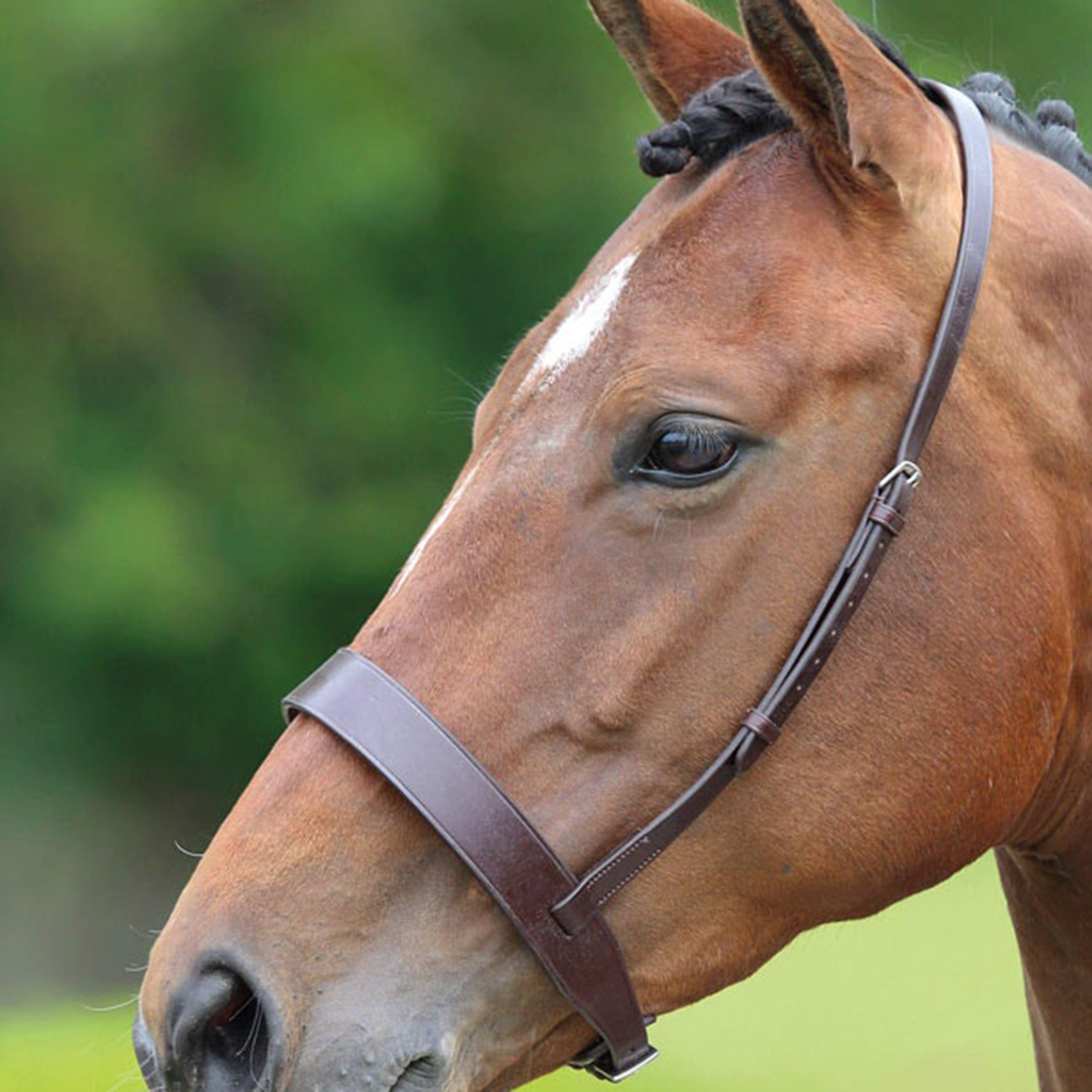 Image of Velociti Cavesson Hunt Noseband, Brown