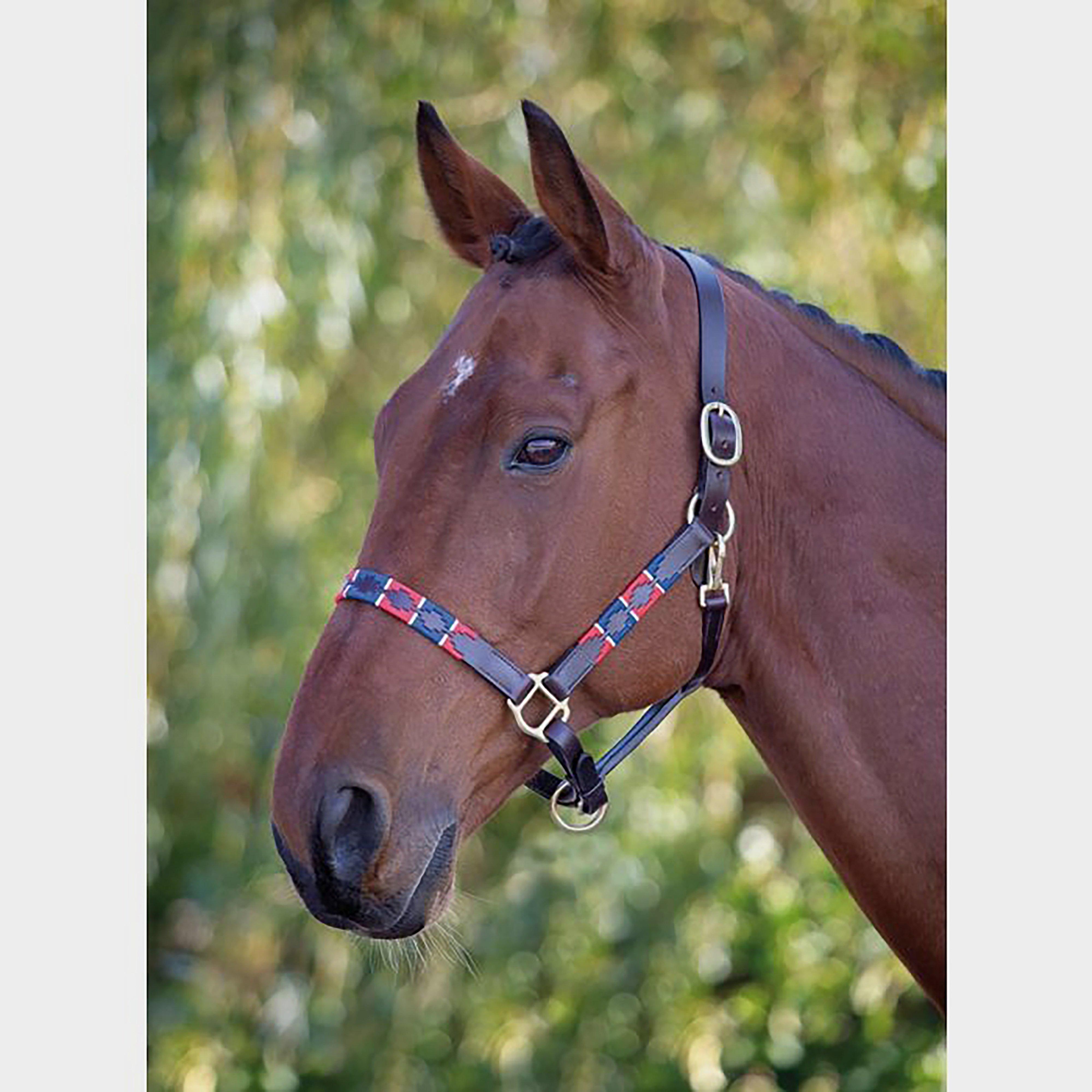  Shires Leather Polo Headcollar, Red