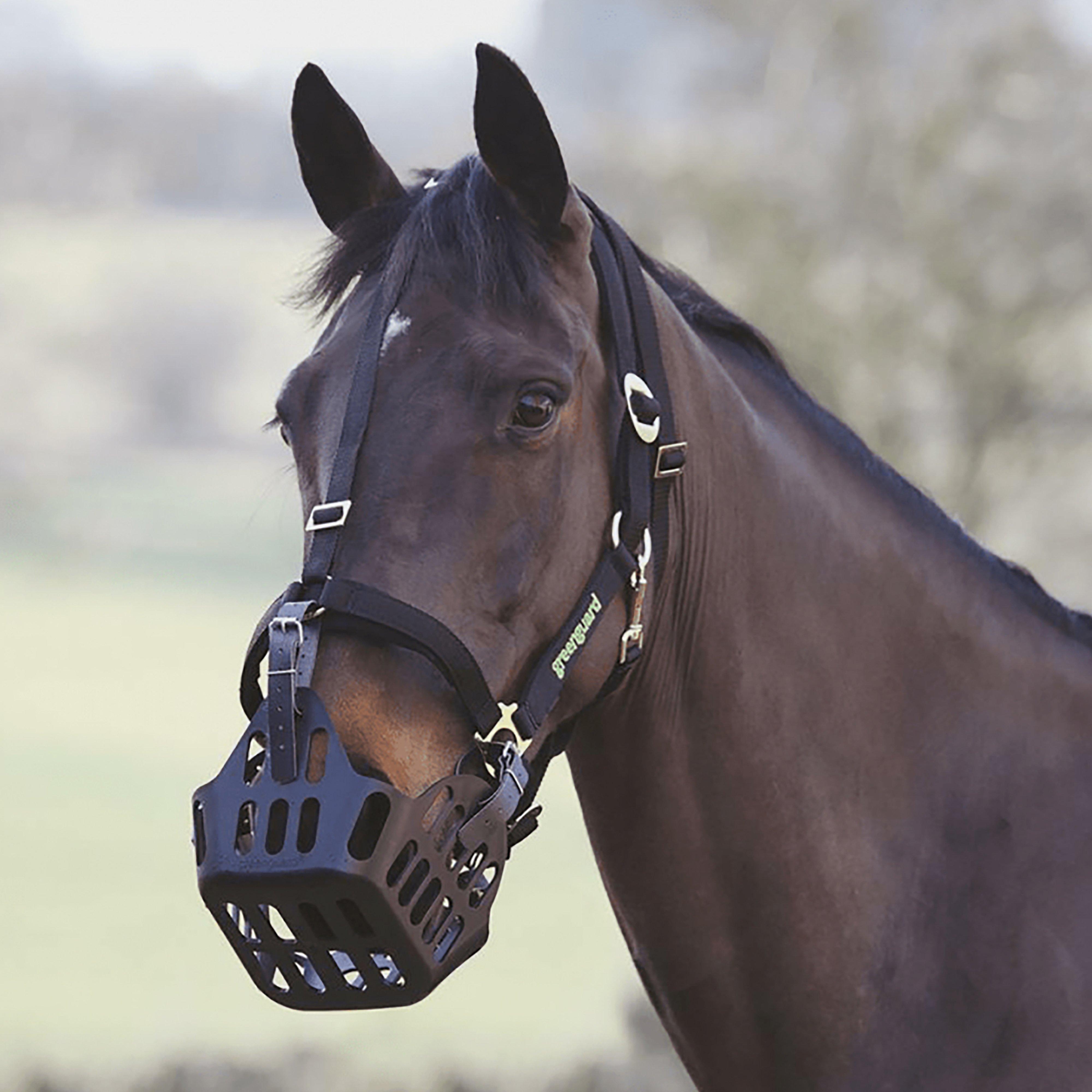 Image of Greenguard Grazing Muzzle, Black