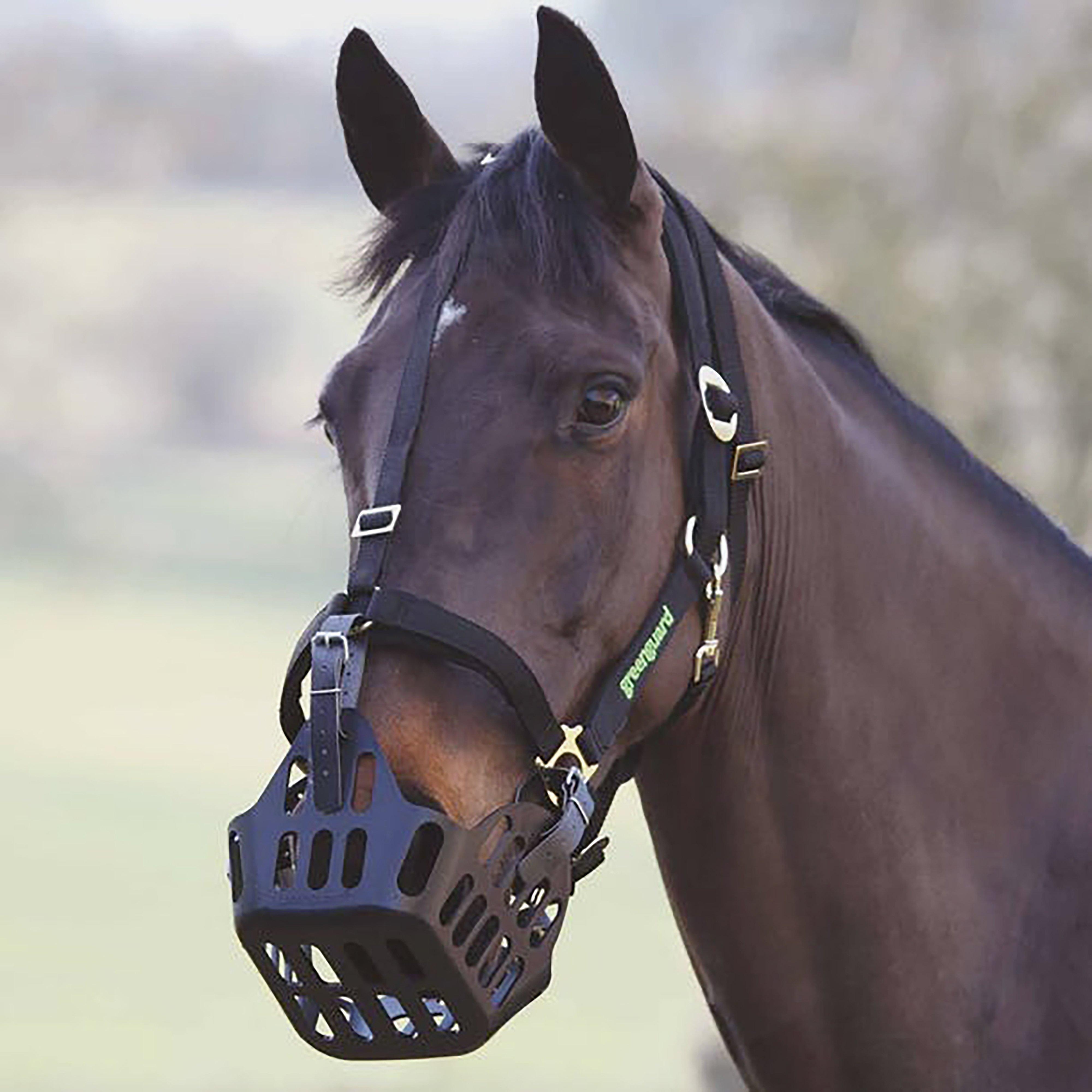 Image of Greenguard Muzzle Head Collar, Black