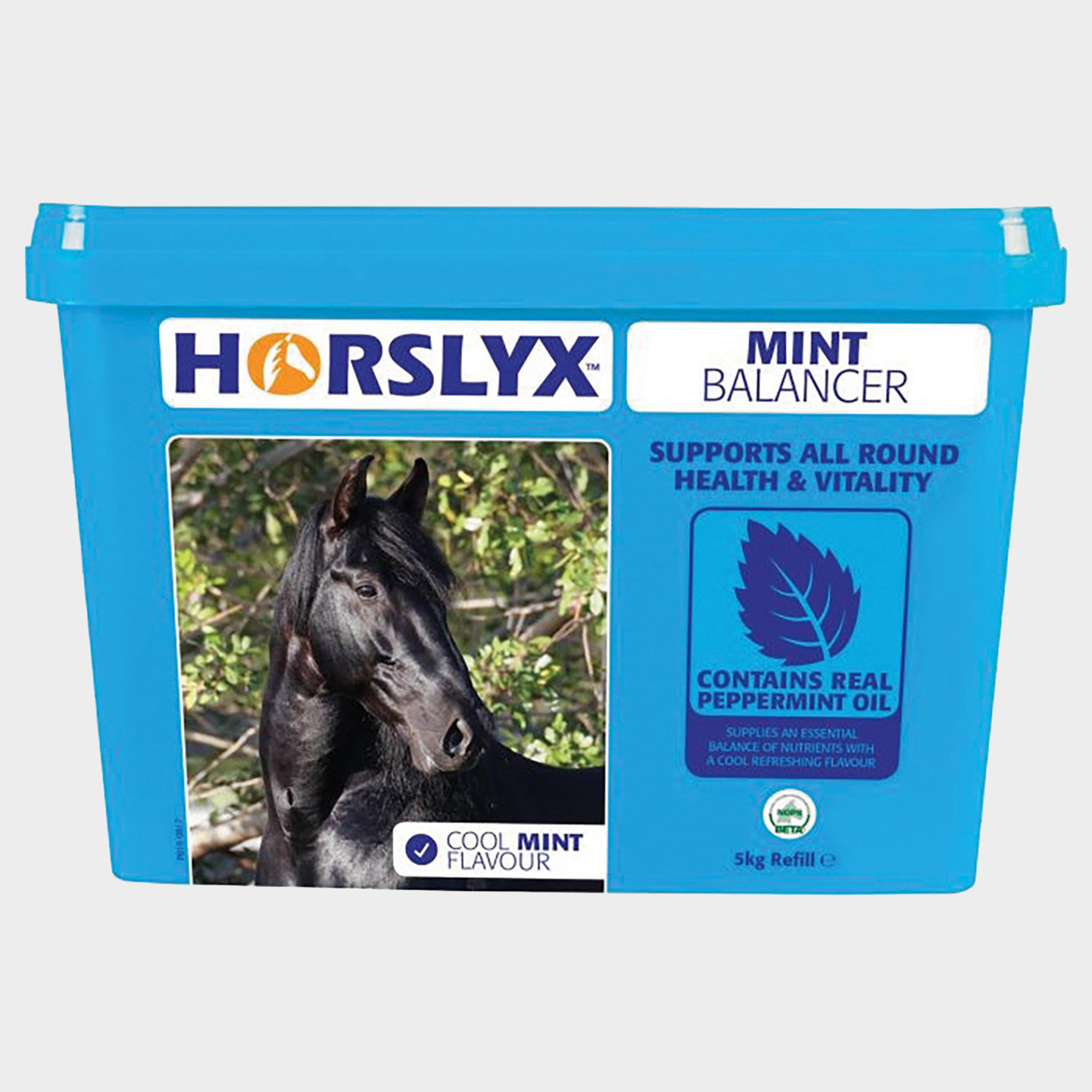 Image of Horslyx Mint Balancer 5kg Refill, Blue