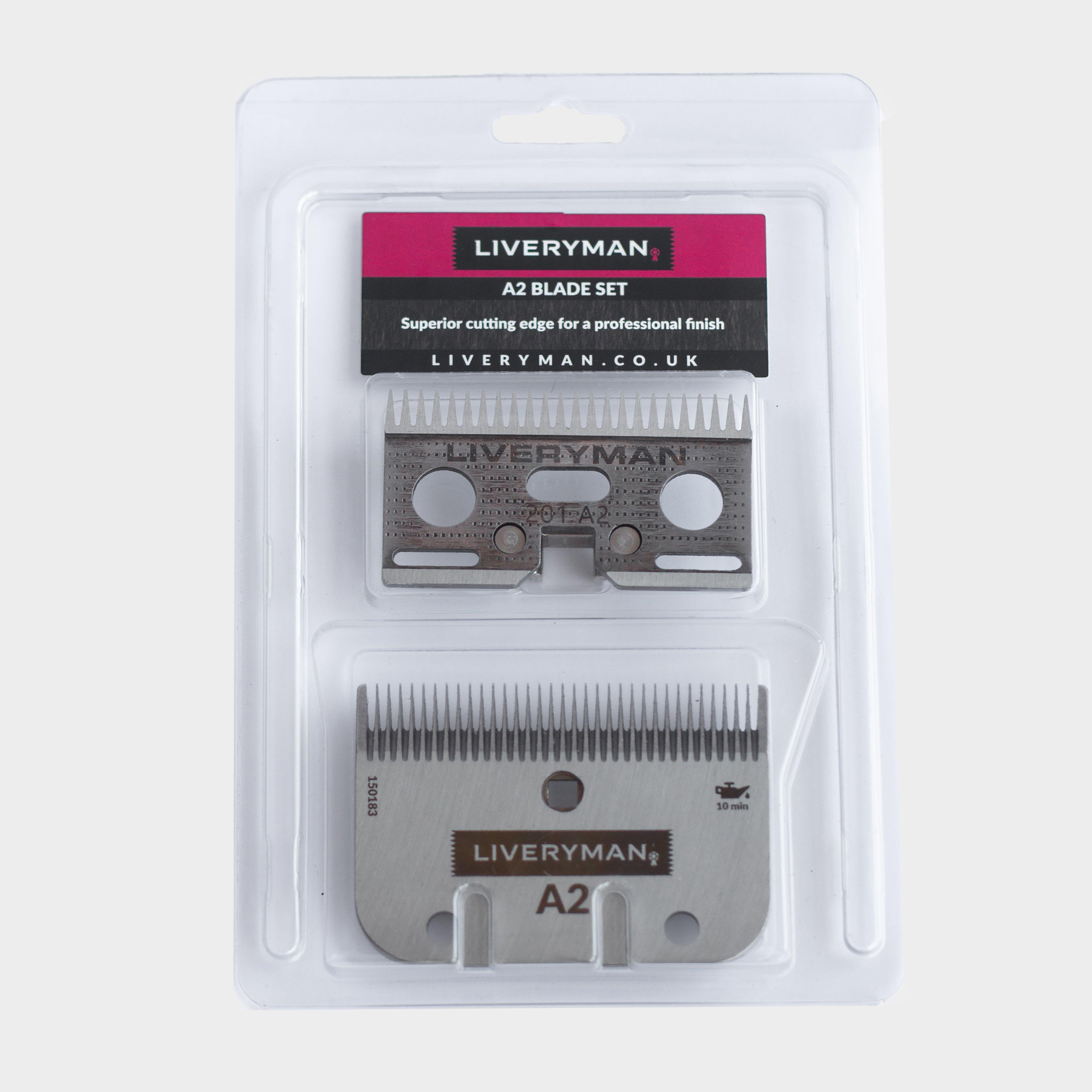 Image of Liveryman A2 Medium Blades, Silver