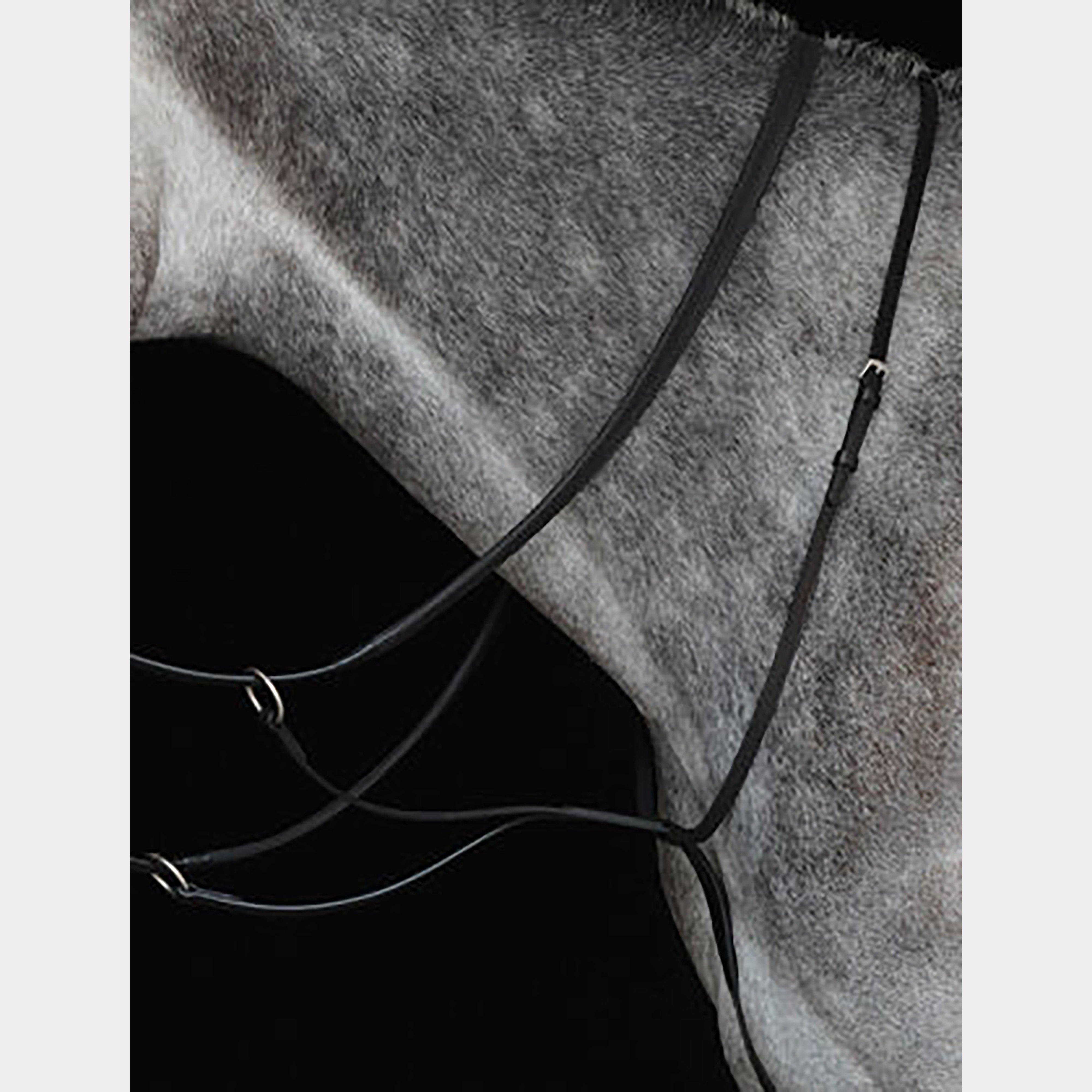 Image of Collegiate Running Martingale IV, Black