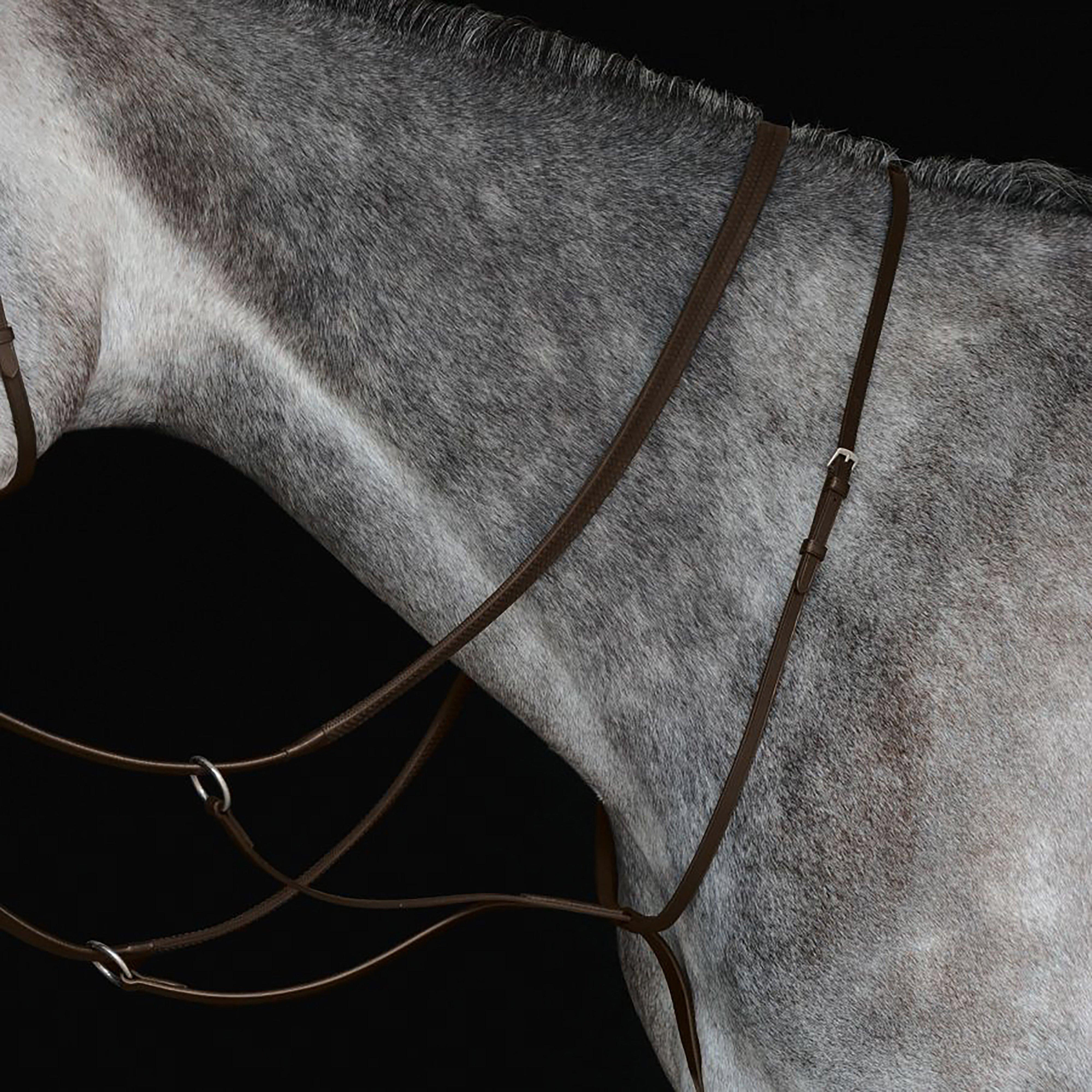 Image of Collegiate Running Martingale, Brown