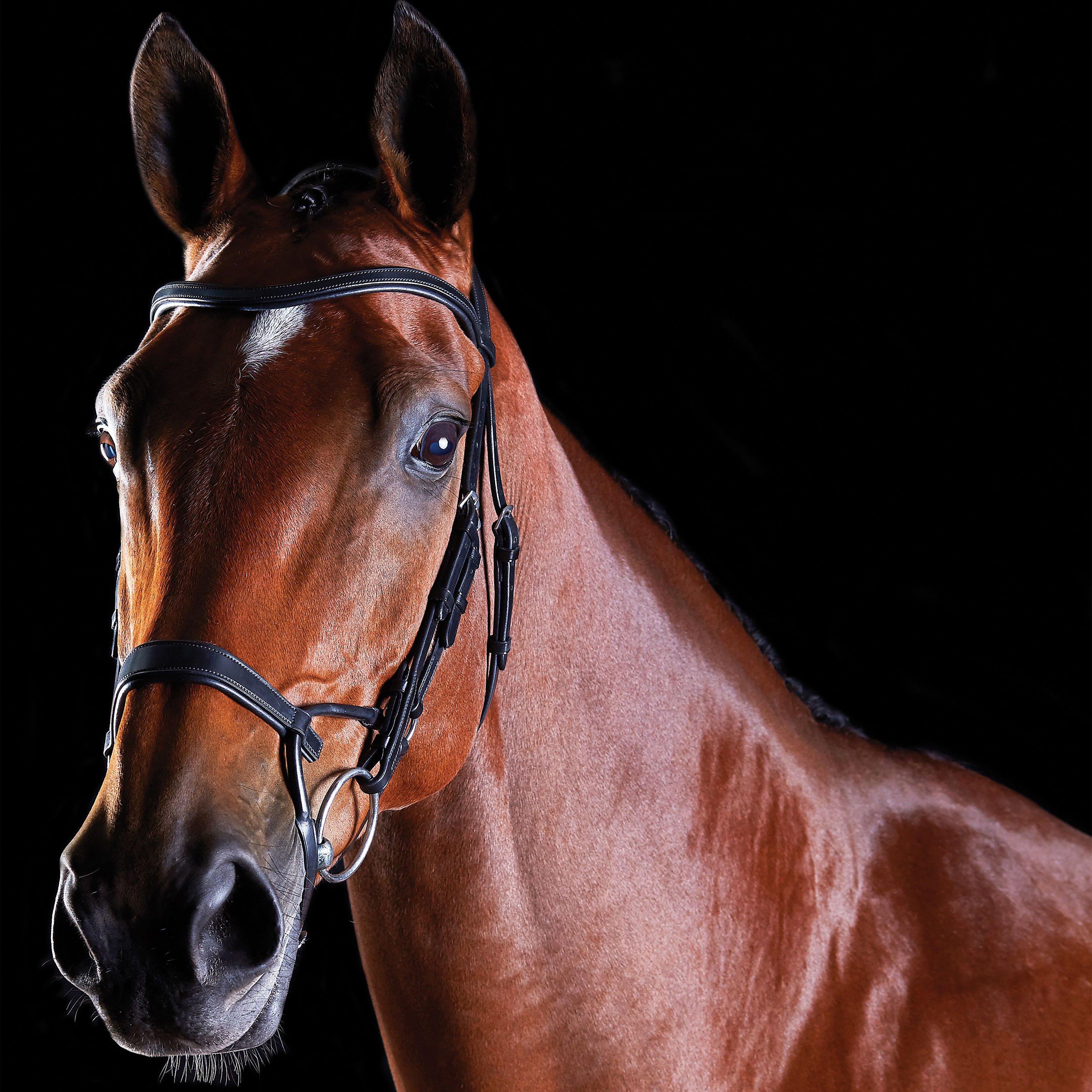 Image of Collegiate ComFiTec Training Bridle, Black