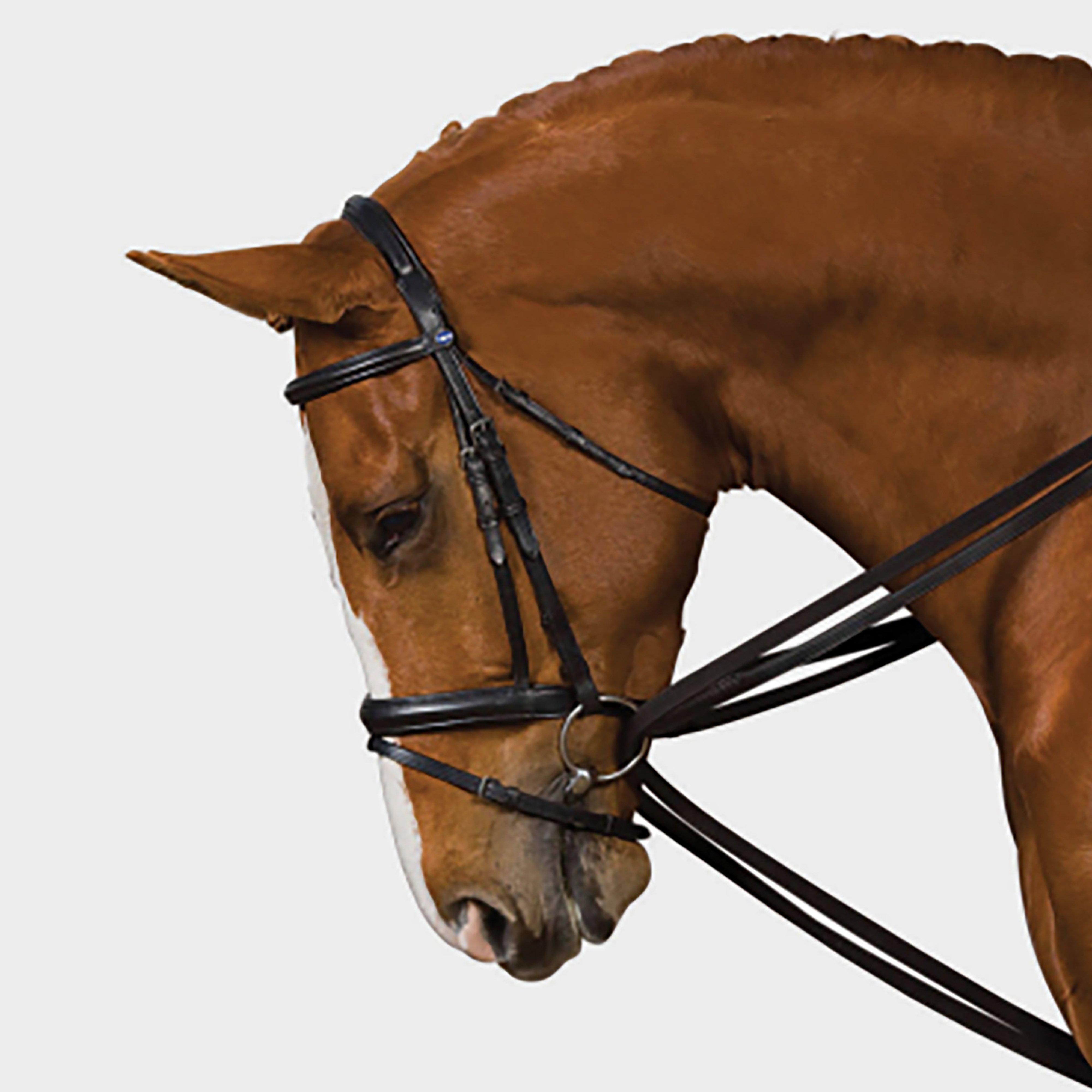 Image of Kincade Web Draw Reins Set, Black