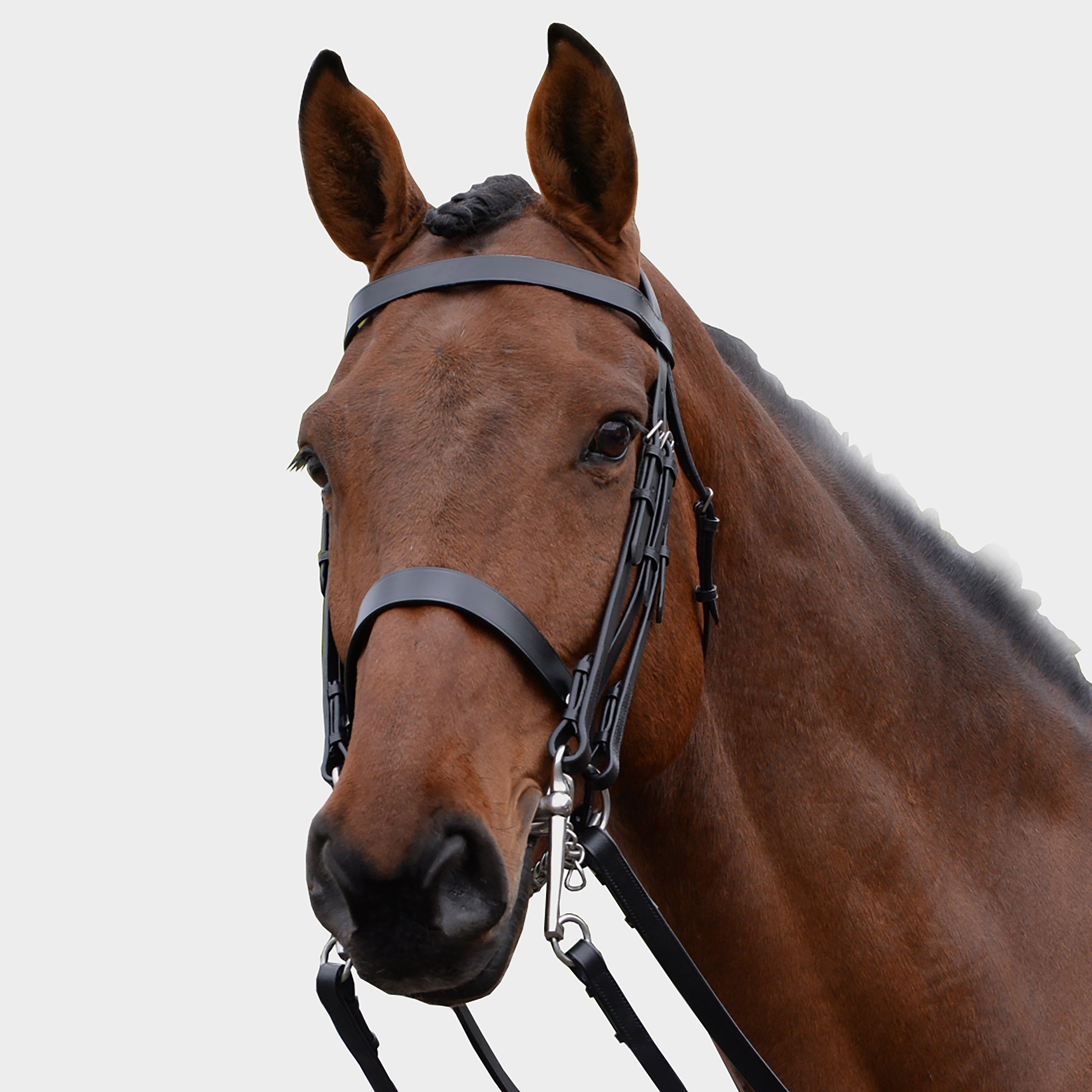  Kincade Show Weymouth Bridle