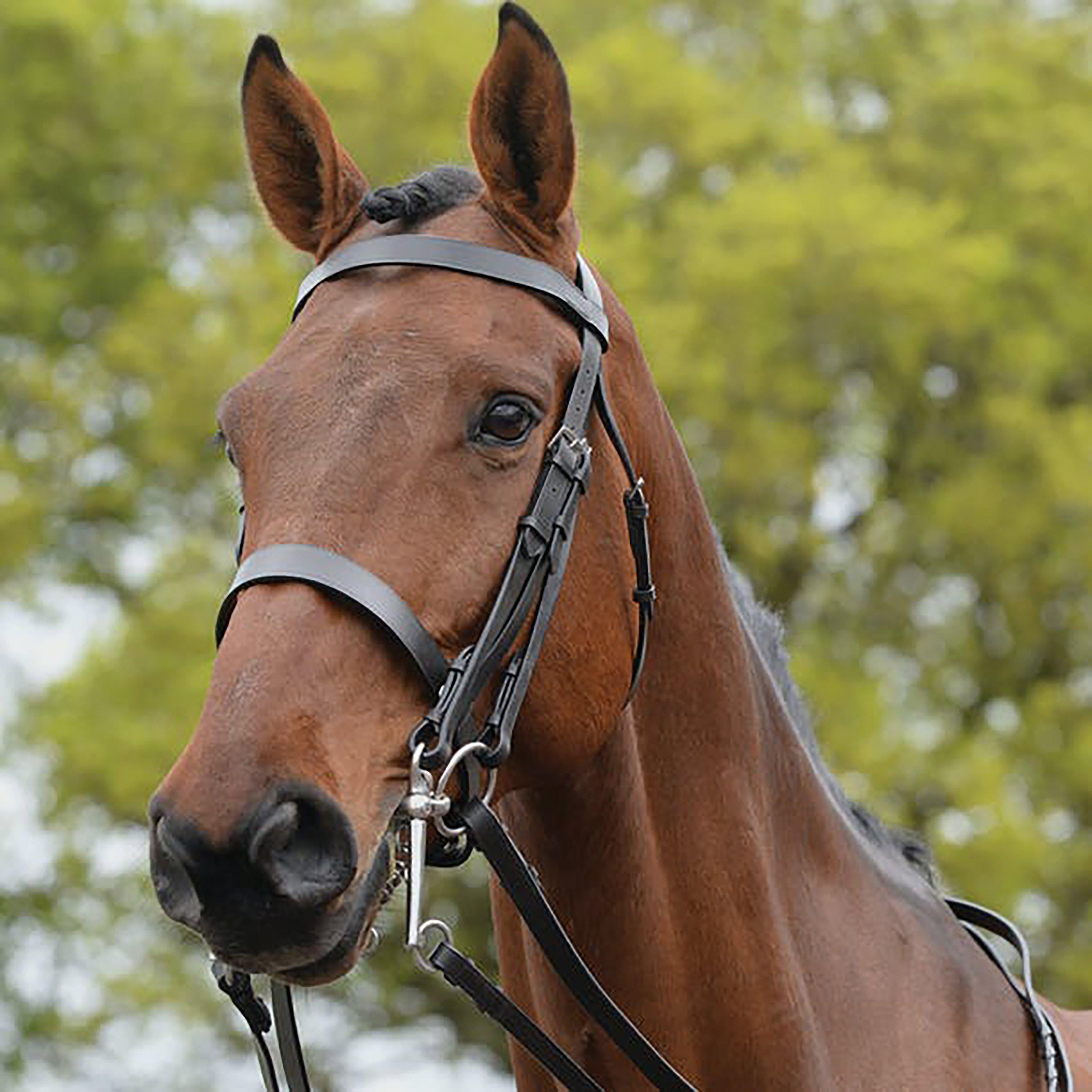  Kincade Show Weymouth Bridle Brown, Brown