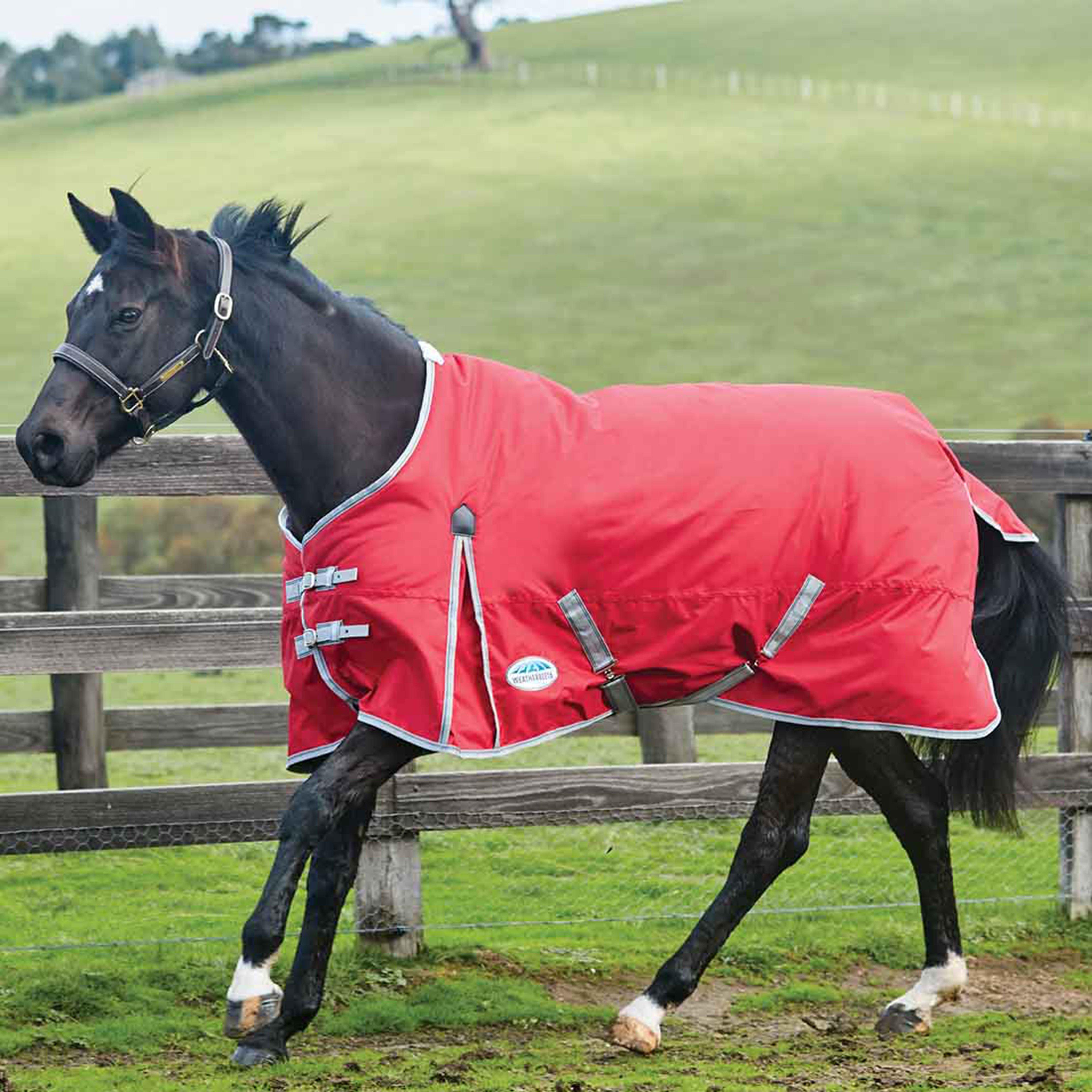 Image of WeatherBeeta ComFiTec Classic 0g Lightweight Standard Neck Turnout Rug, Red