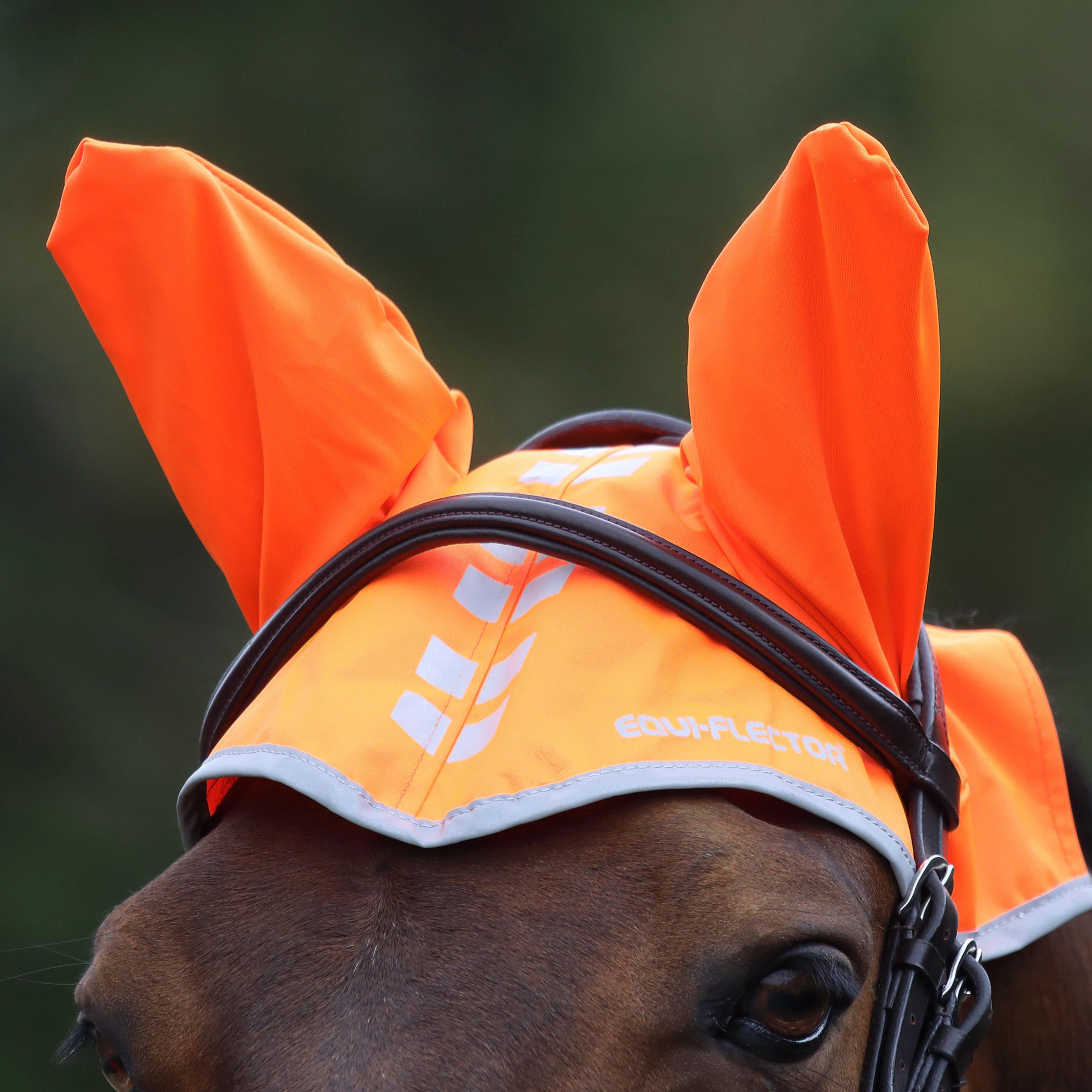 Image of EQUI-FLECTOR Fly Veil, Orange