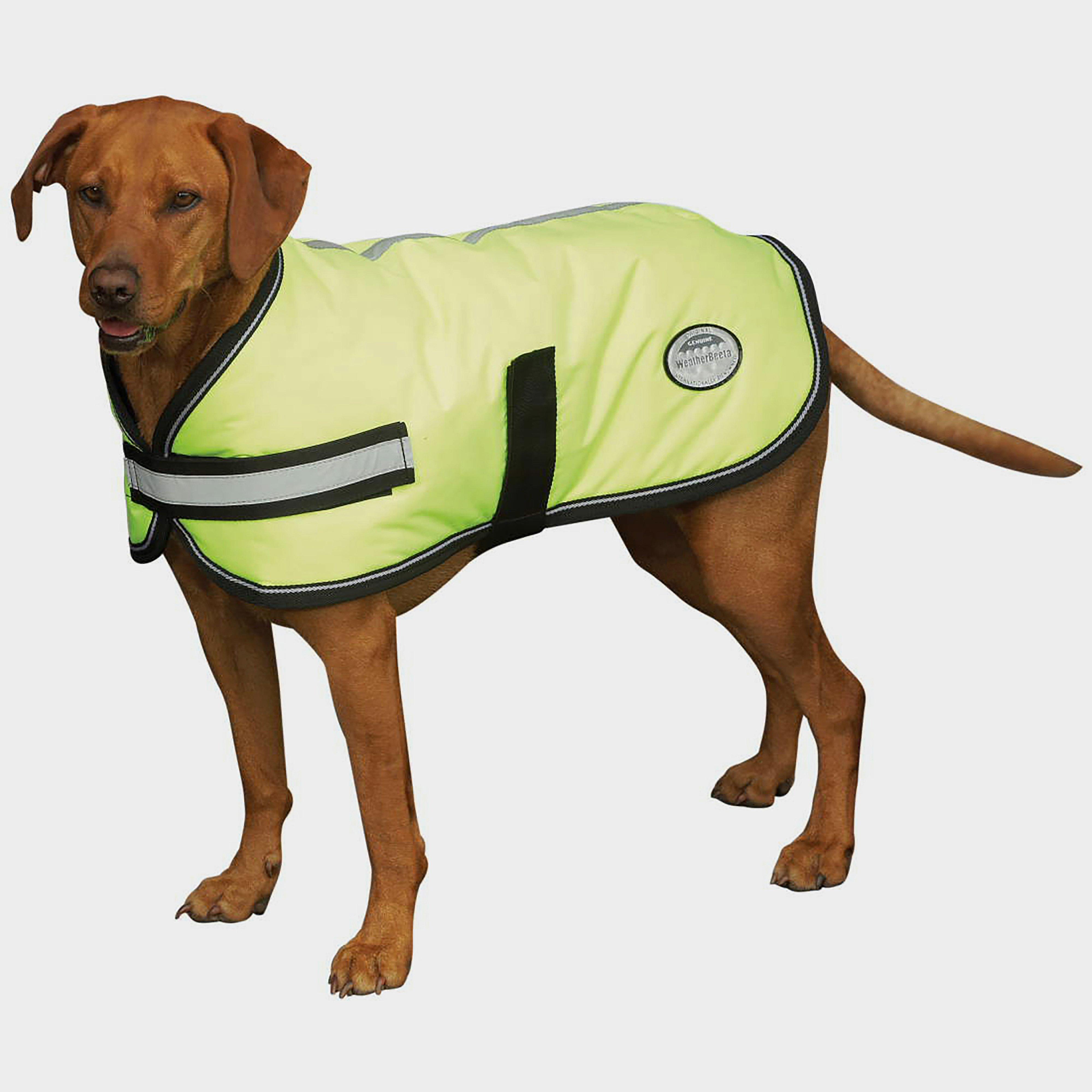 Image of WeatherBeeta Comfitec Reflective Insulated Dog Coat, Yellow