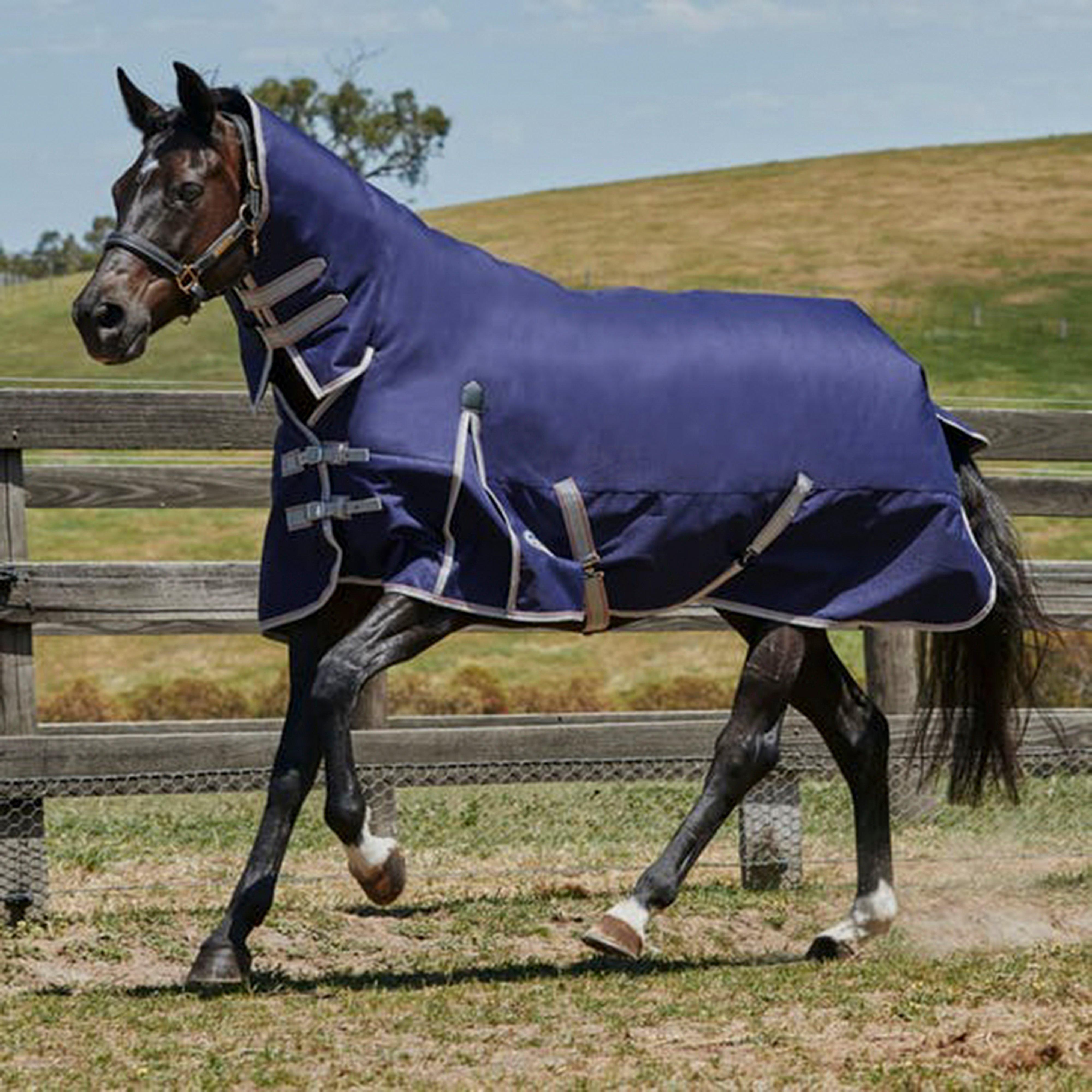 Image of WeatherBeeta ComFiTec Essential 220g Medium Weight Combo Neck Turnout Rug, Navy