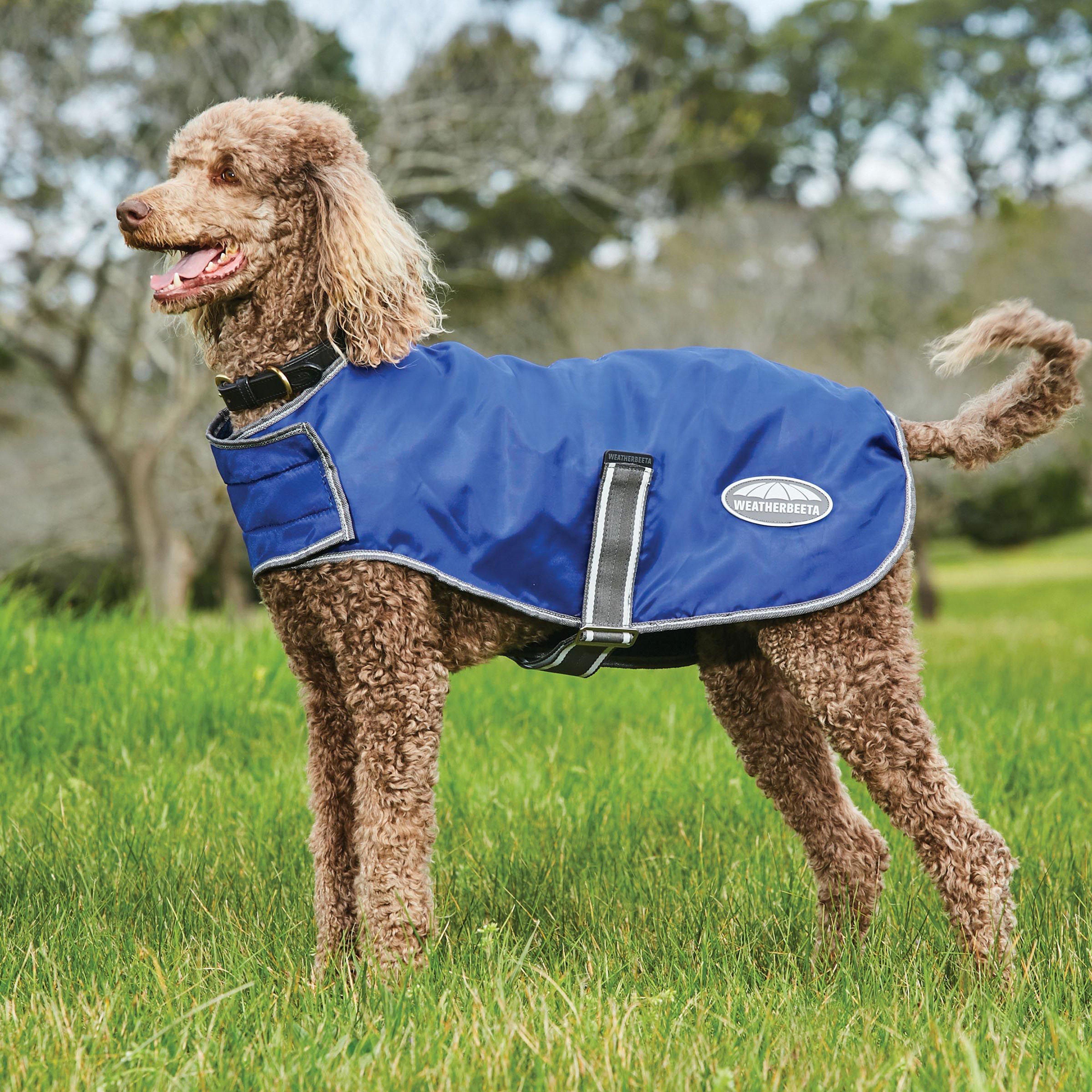 Image of WeatherBeeta Comfitec Windbreaker Free Dog Coat, Blue