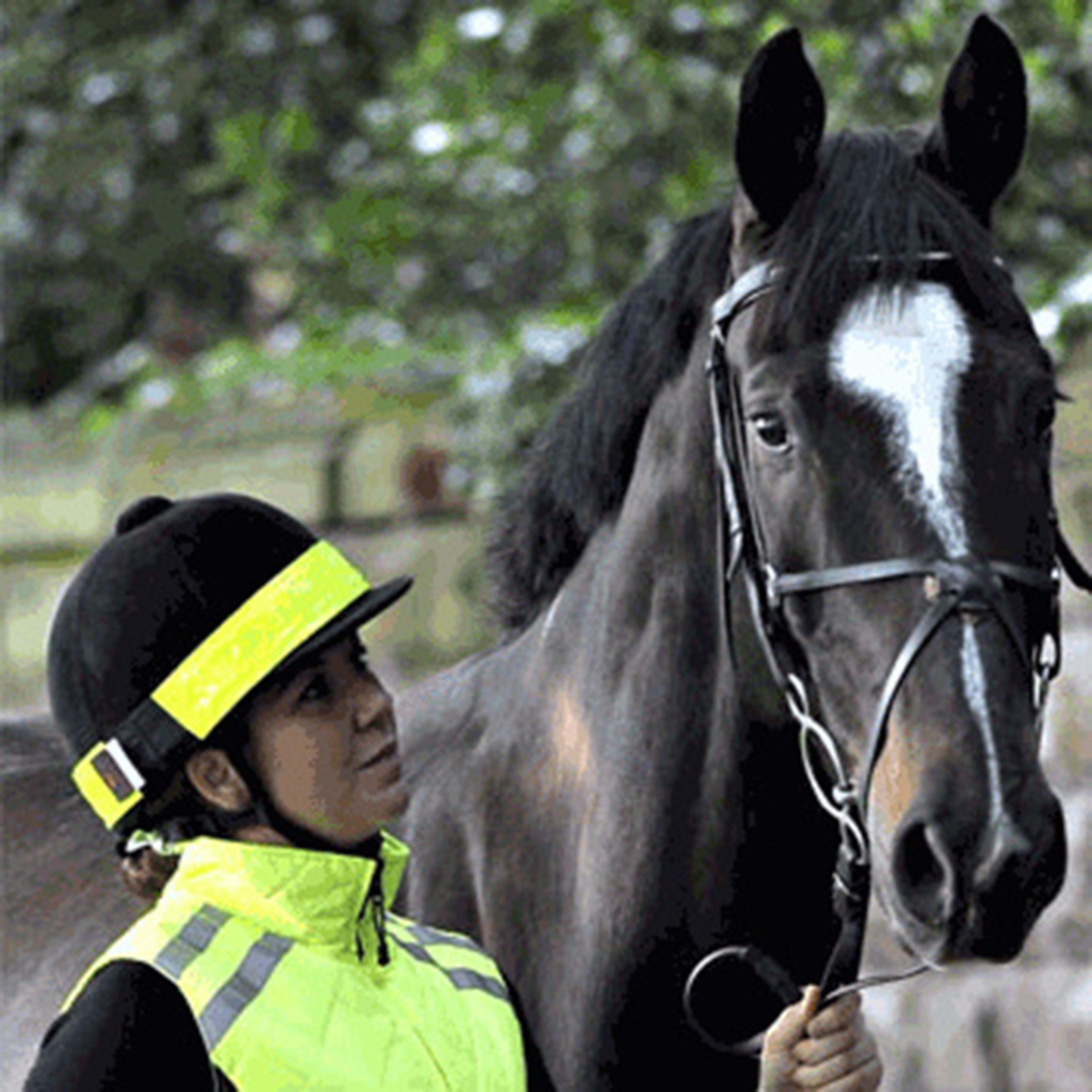 Image of Equisafety Hat Band Yellow, Yellow