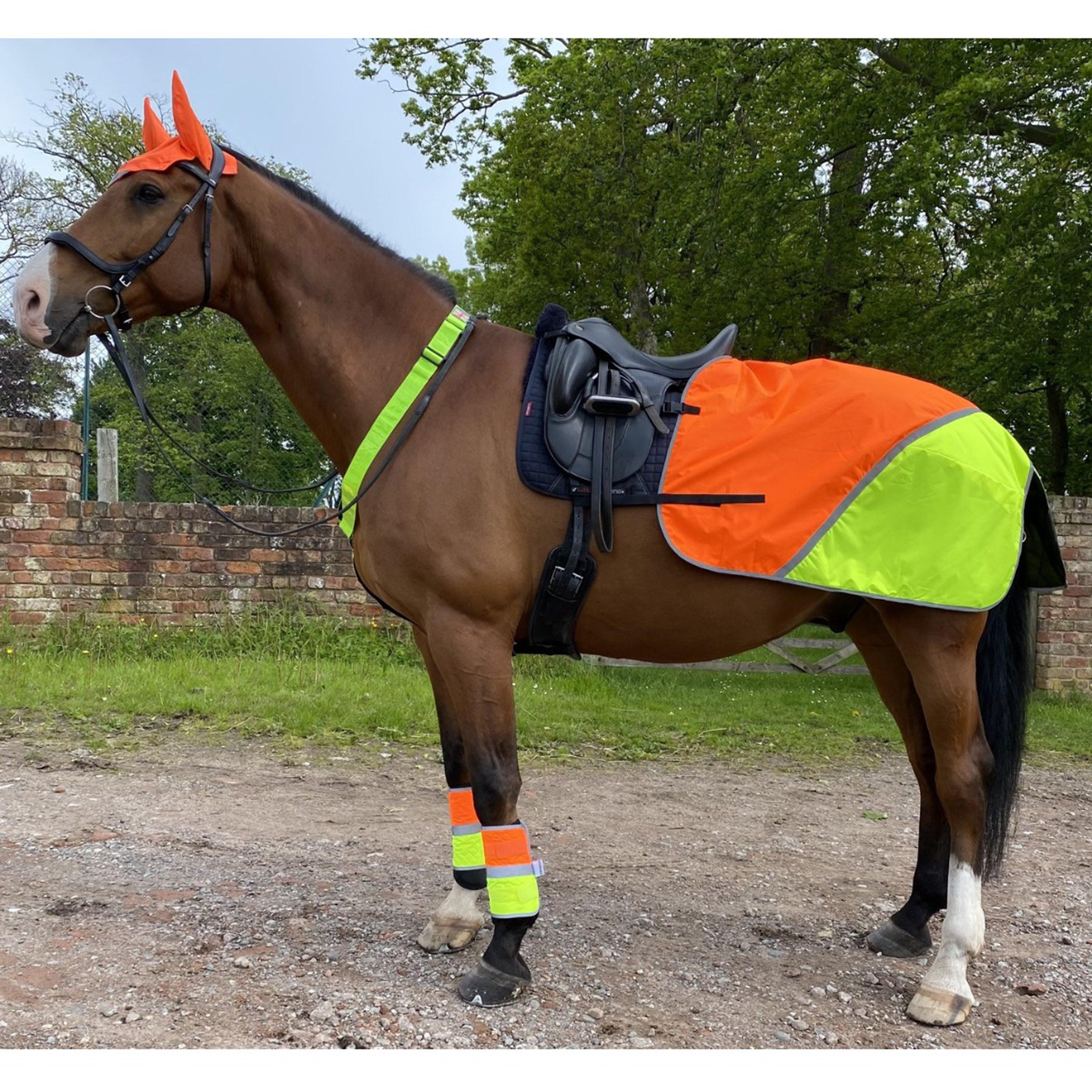 Image of Equisafety Charlotte Dujardin Reflective Multi-Coloured Mesh Horse Ears Yellow/Orange, Yellow