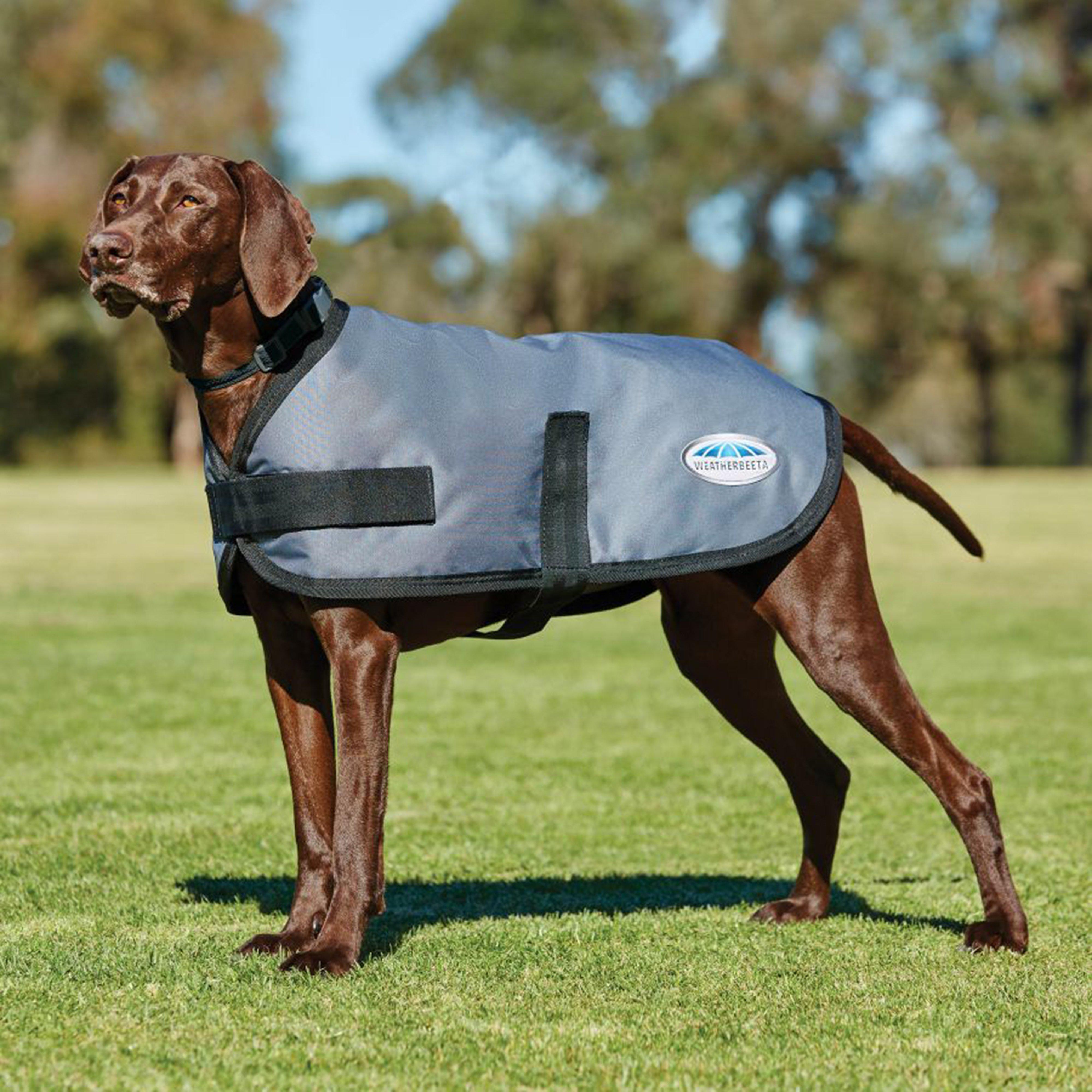 Image of WeatherBeeta ComFiTec Classic 100g Lightweight Dog Coat Dark Grey, Grey
