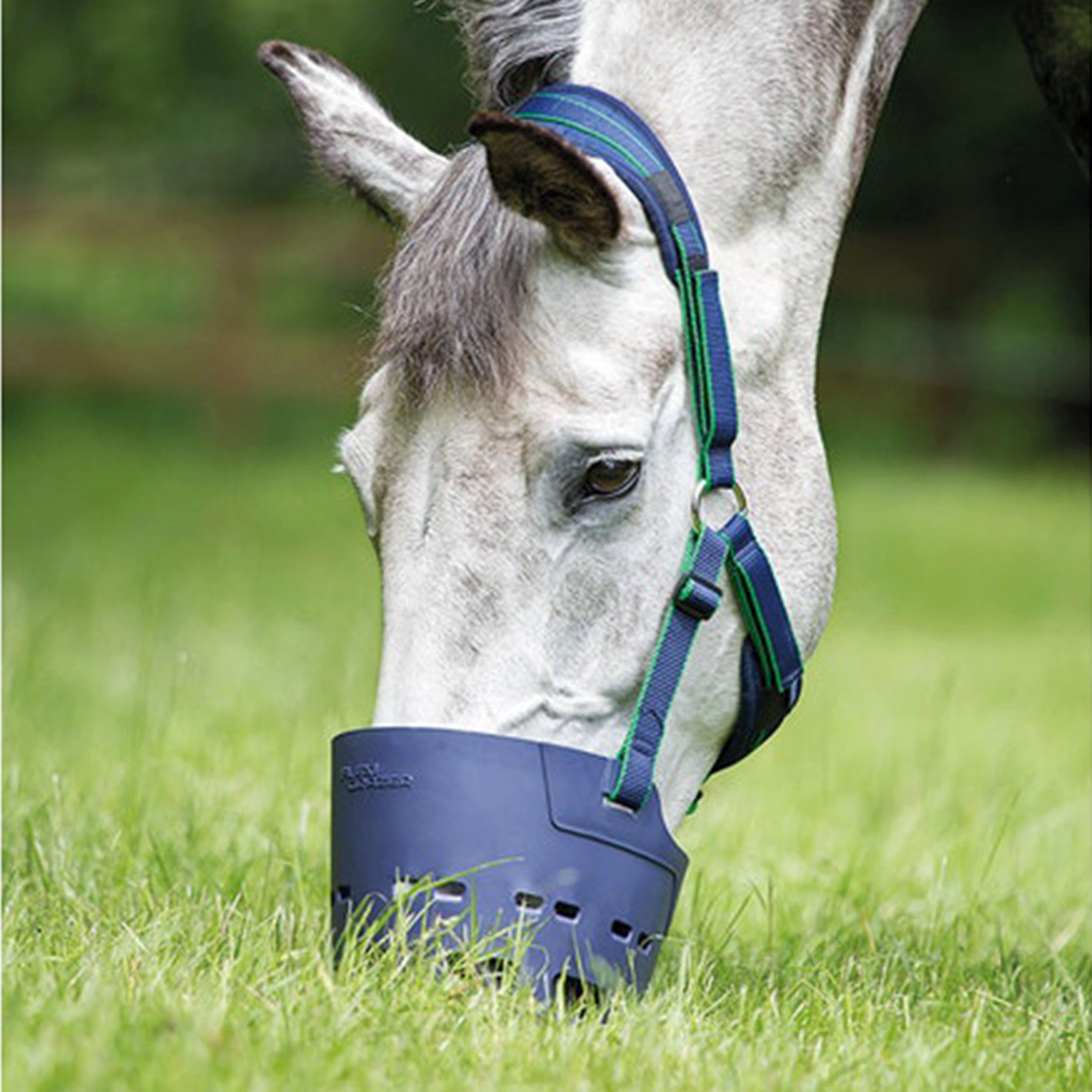 Image of Shires Flexi Grazer Muzzle, Blue