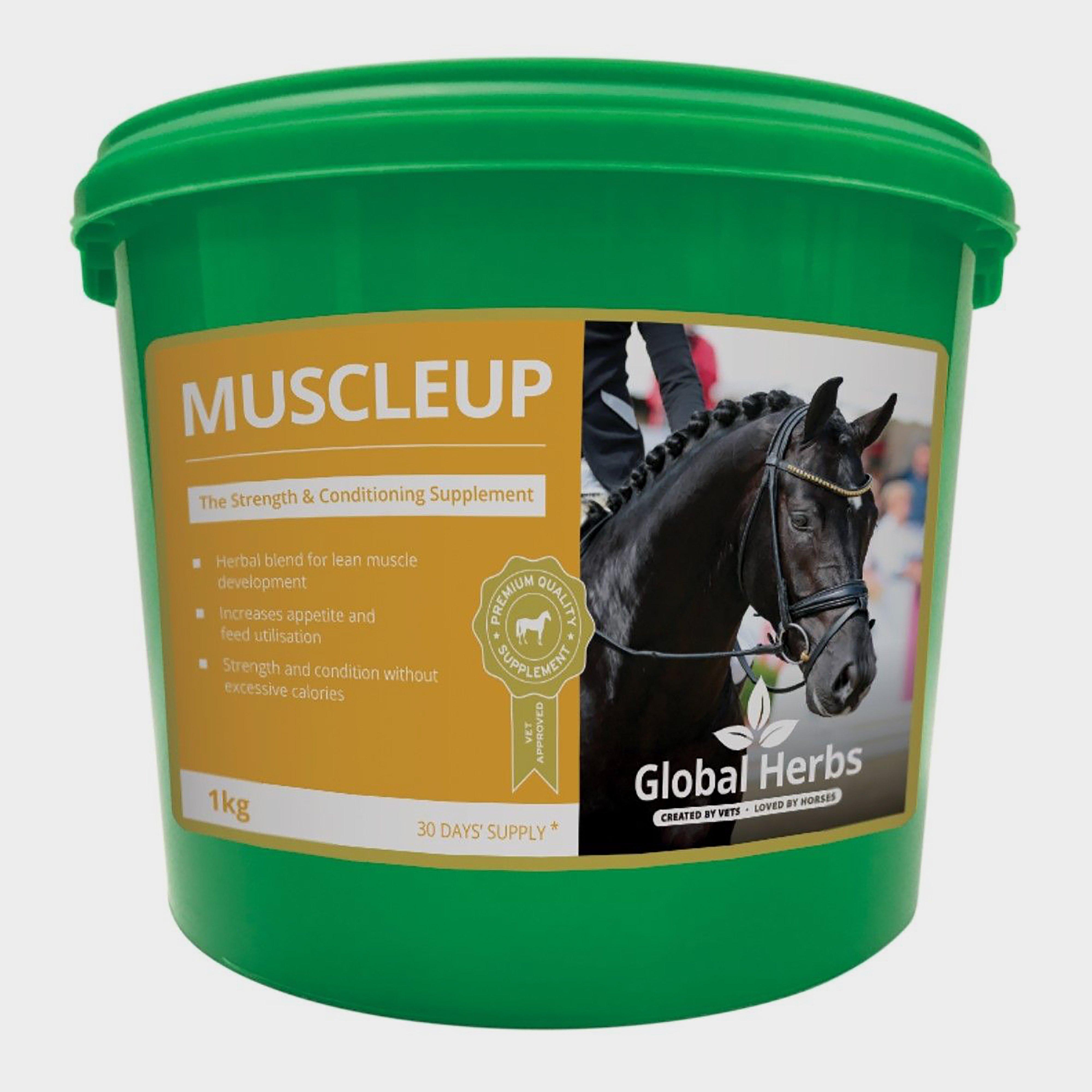 Image of Global Herbs MuscleUp 1kg