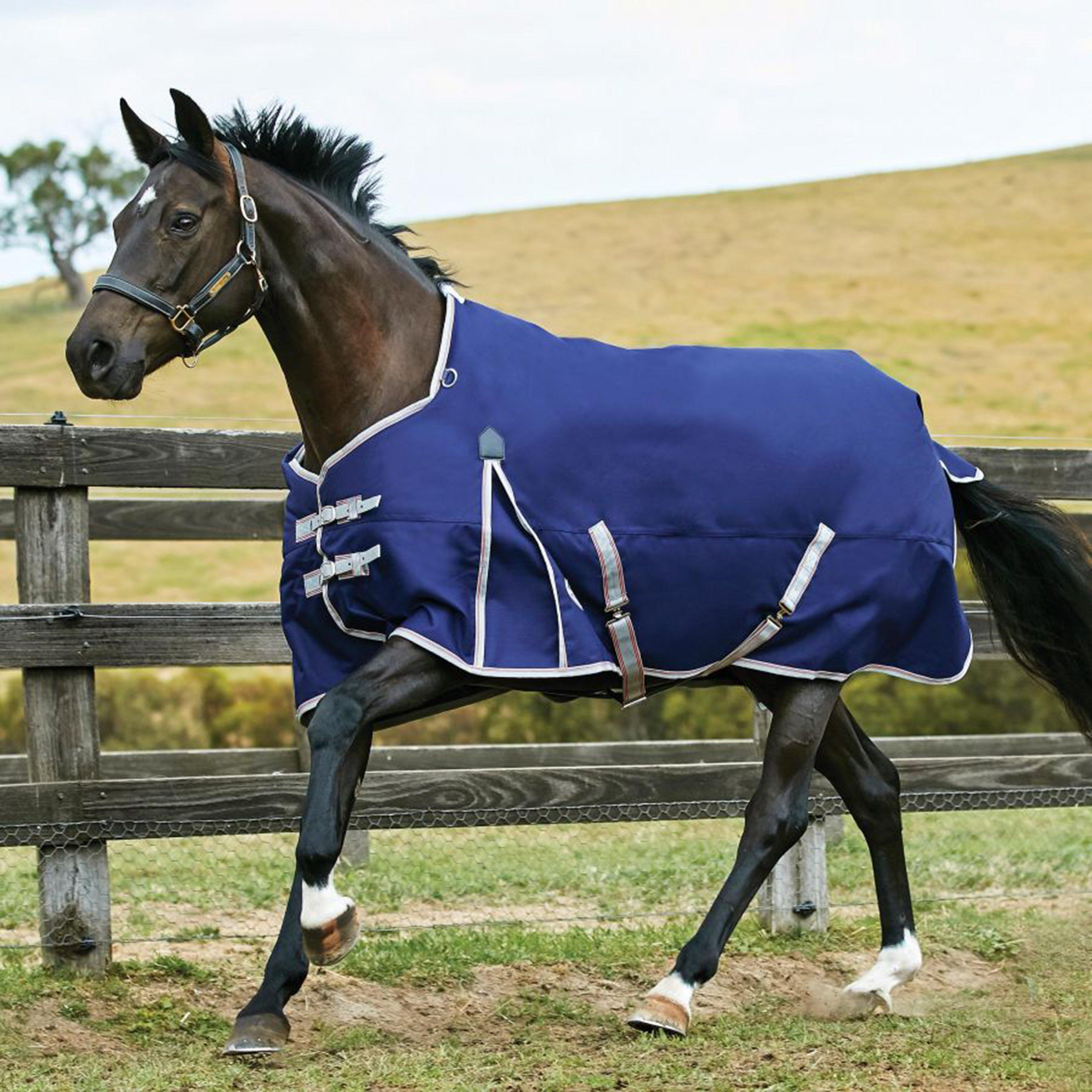 Image of WeatherBeeta ComFiTec Essential 220g Medium Weight Standard Neck Turnout Rug, Navy
