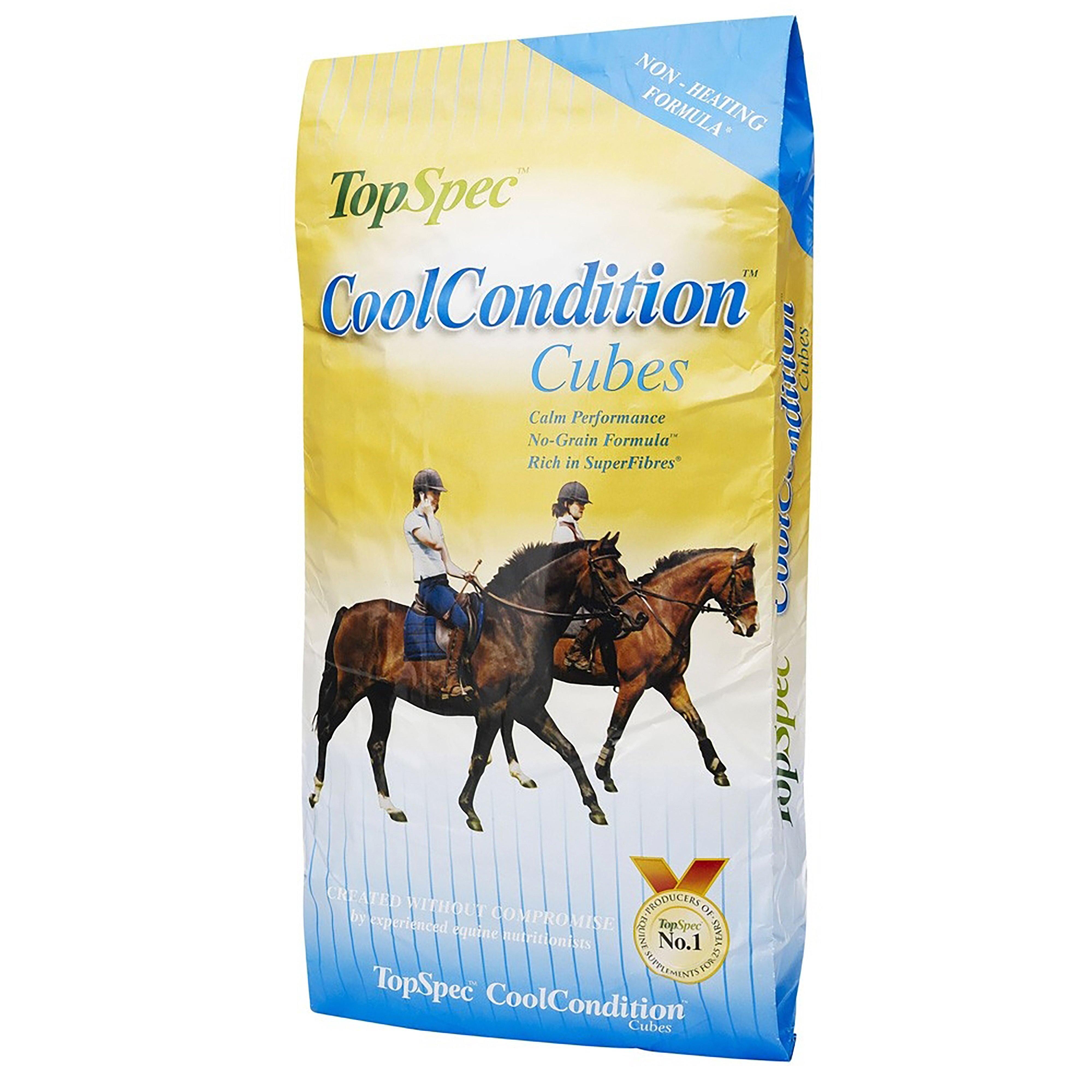 CoolCondition Cubes 20kg