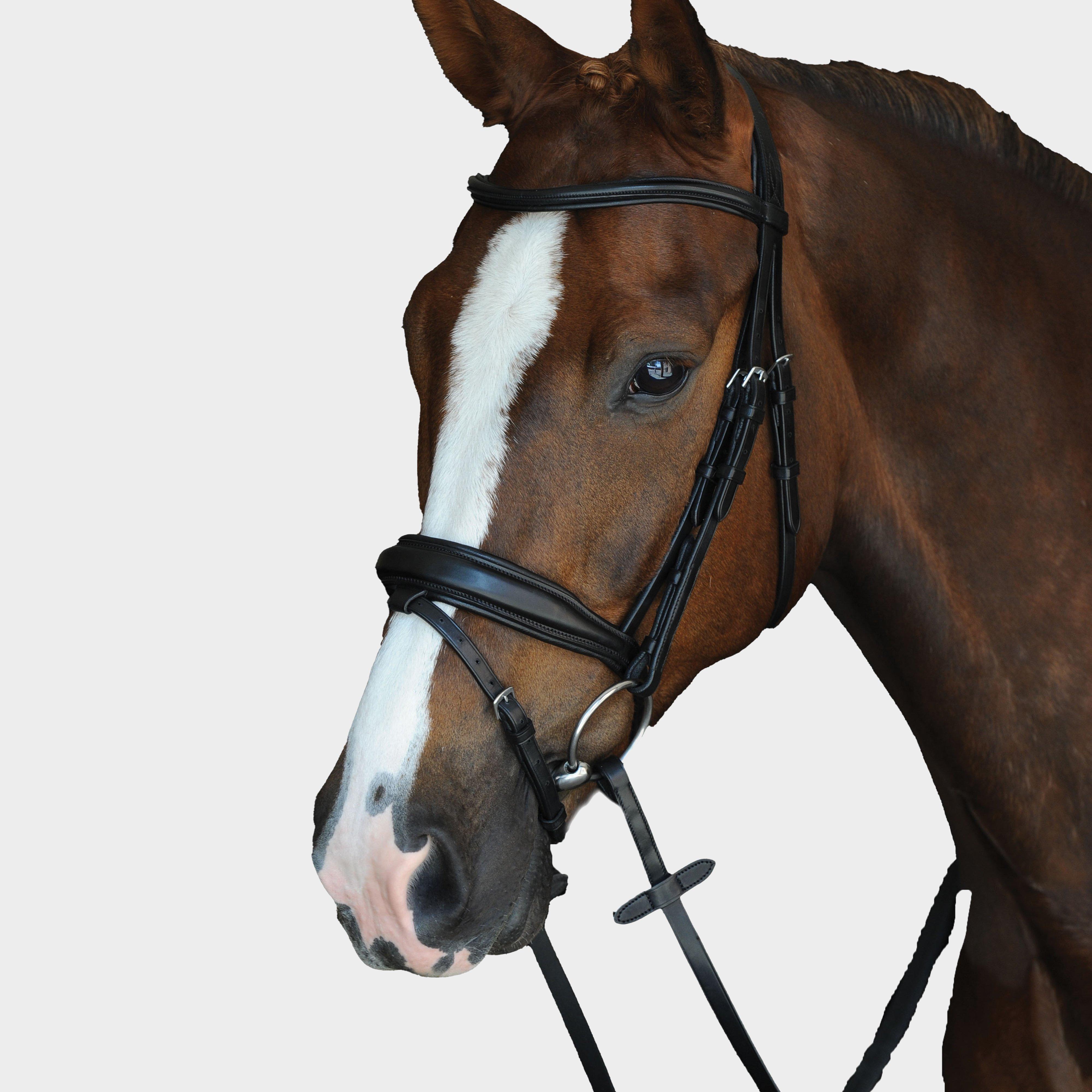 Image of Collegiate Mono Crown Padded Raised Flash Bridle Black, Black