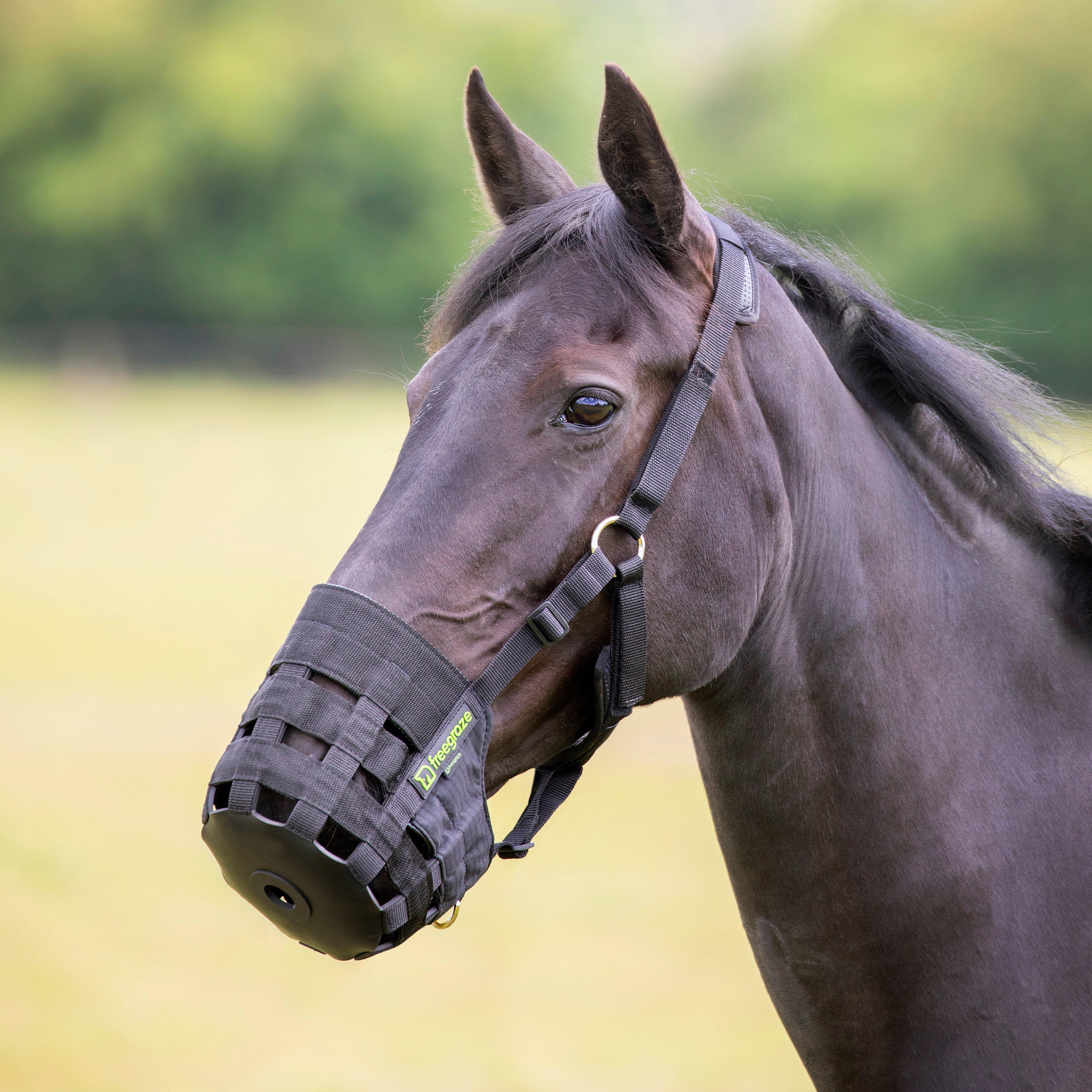 Image of Shires Comfort Grazing Muzzle, Black