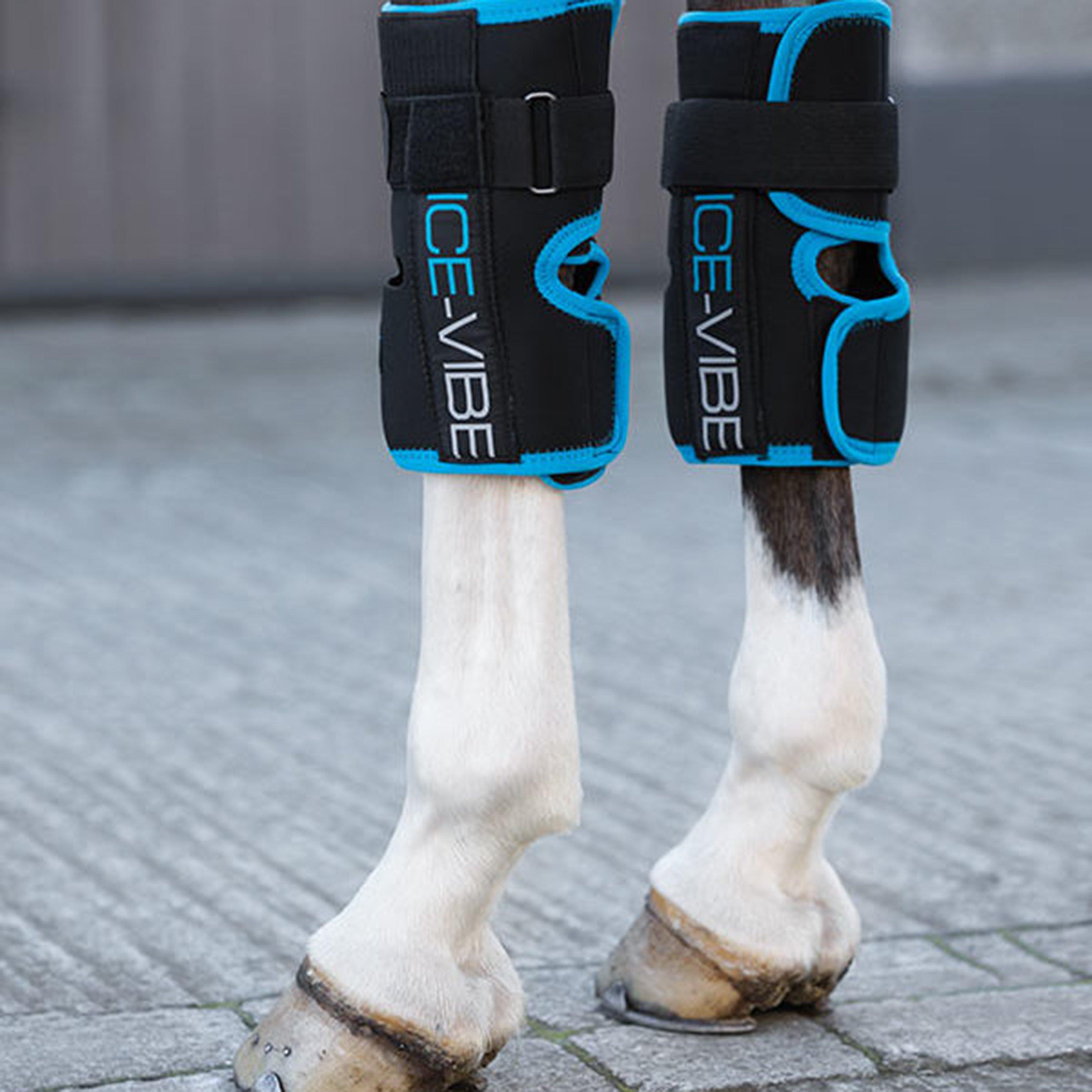 Image of Horseware Ice-Vibe Knee Wraps, Black/Blue