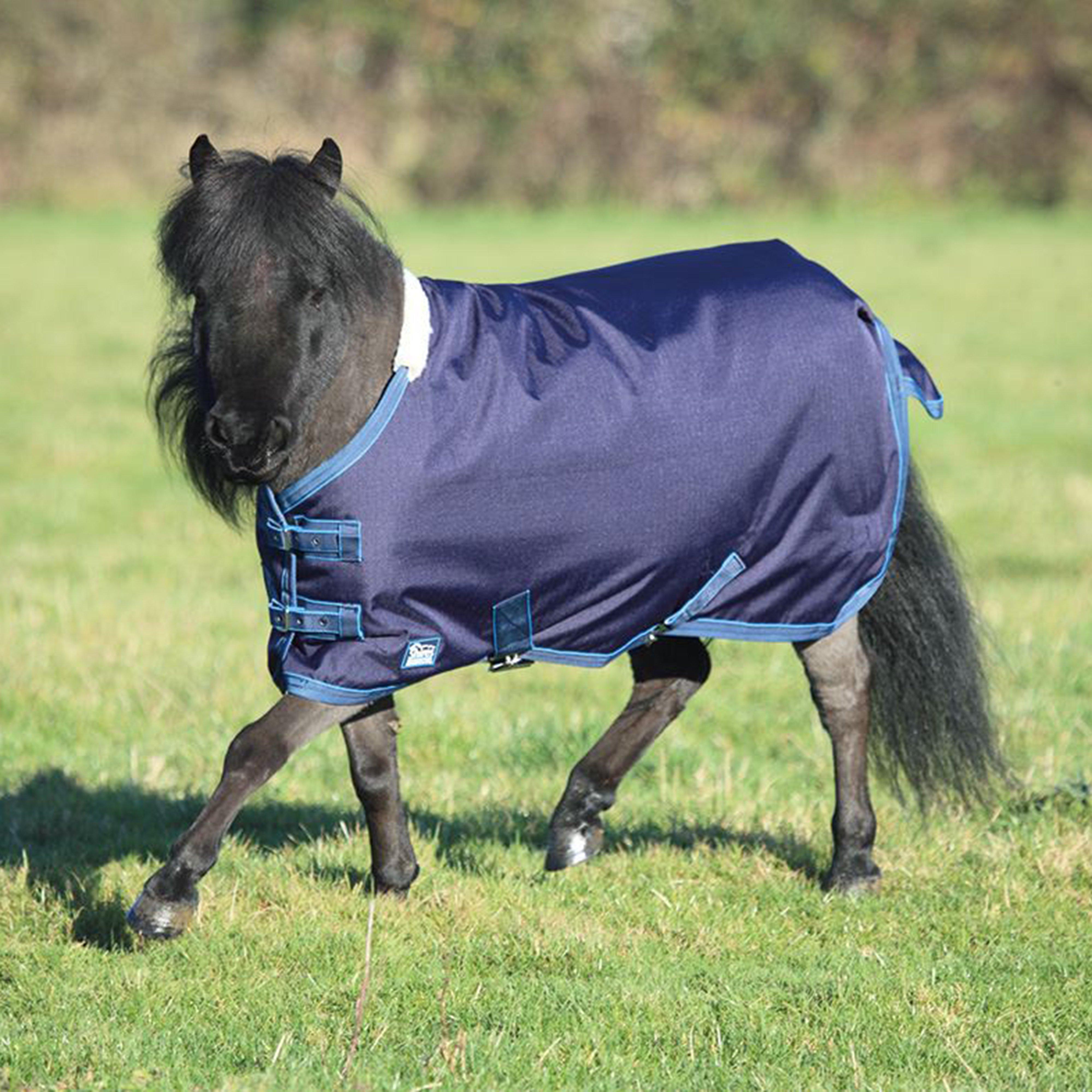 Image of Shires Highlander Miniature Rug, Blue