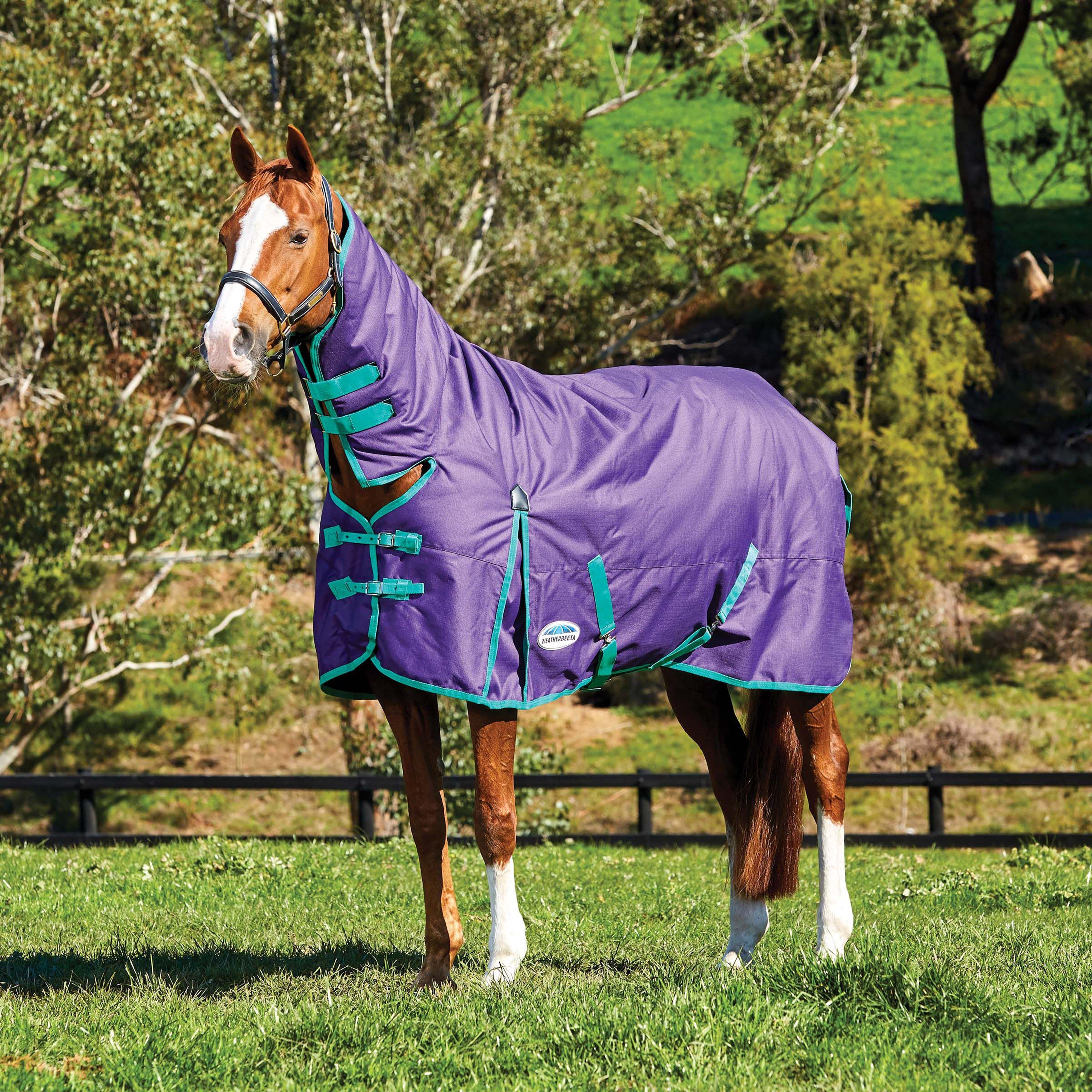 ComFiTec Essential 360g Heavy Weight Combo Neck Turnout Rug Bright Purple/Green