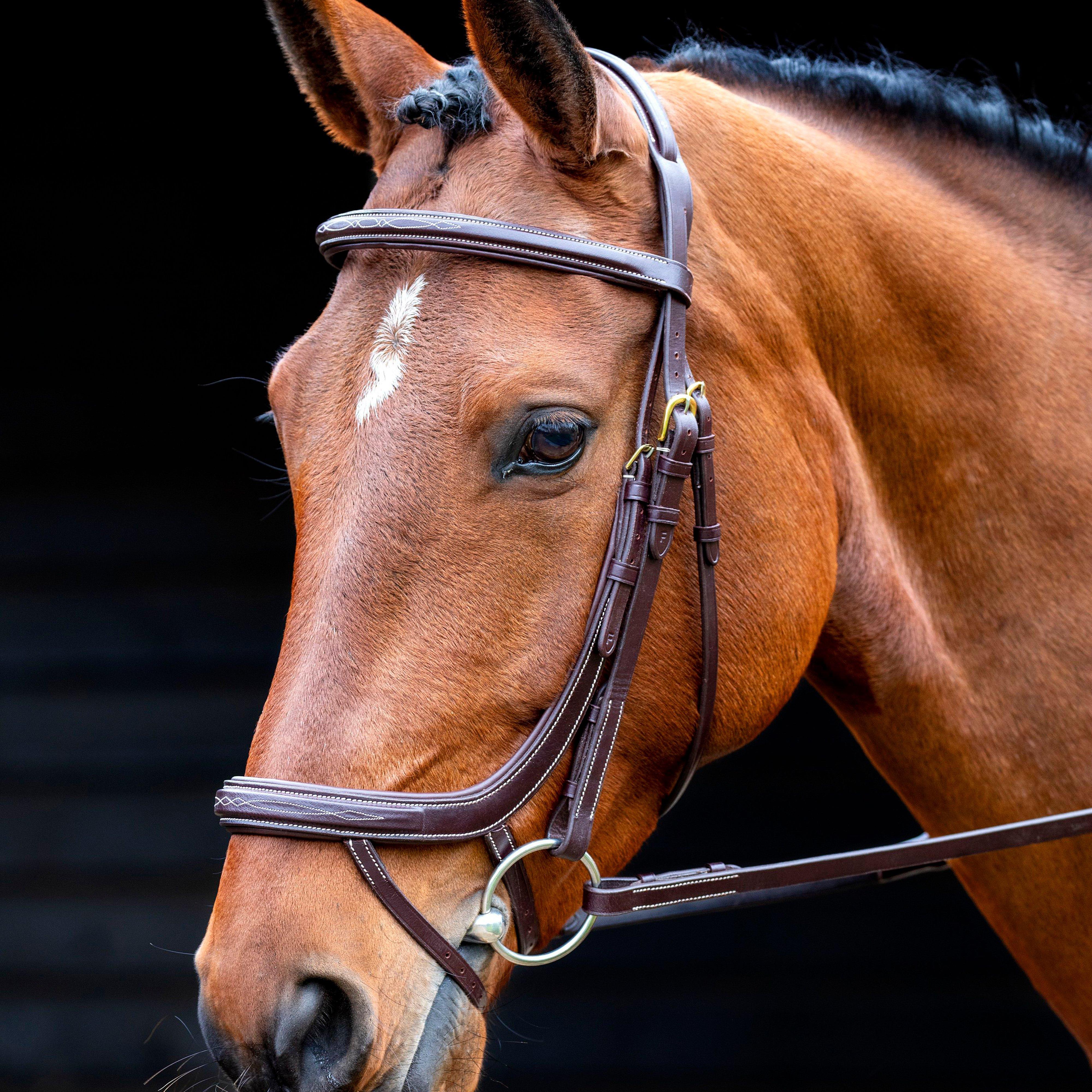 Image of SALISBURY Salisbury Buckingham Bridle, Brown