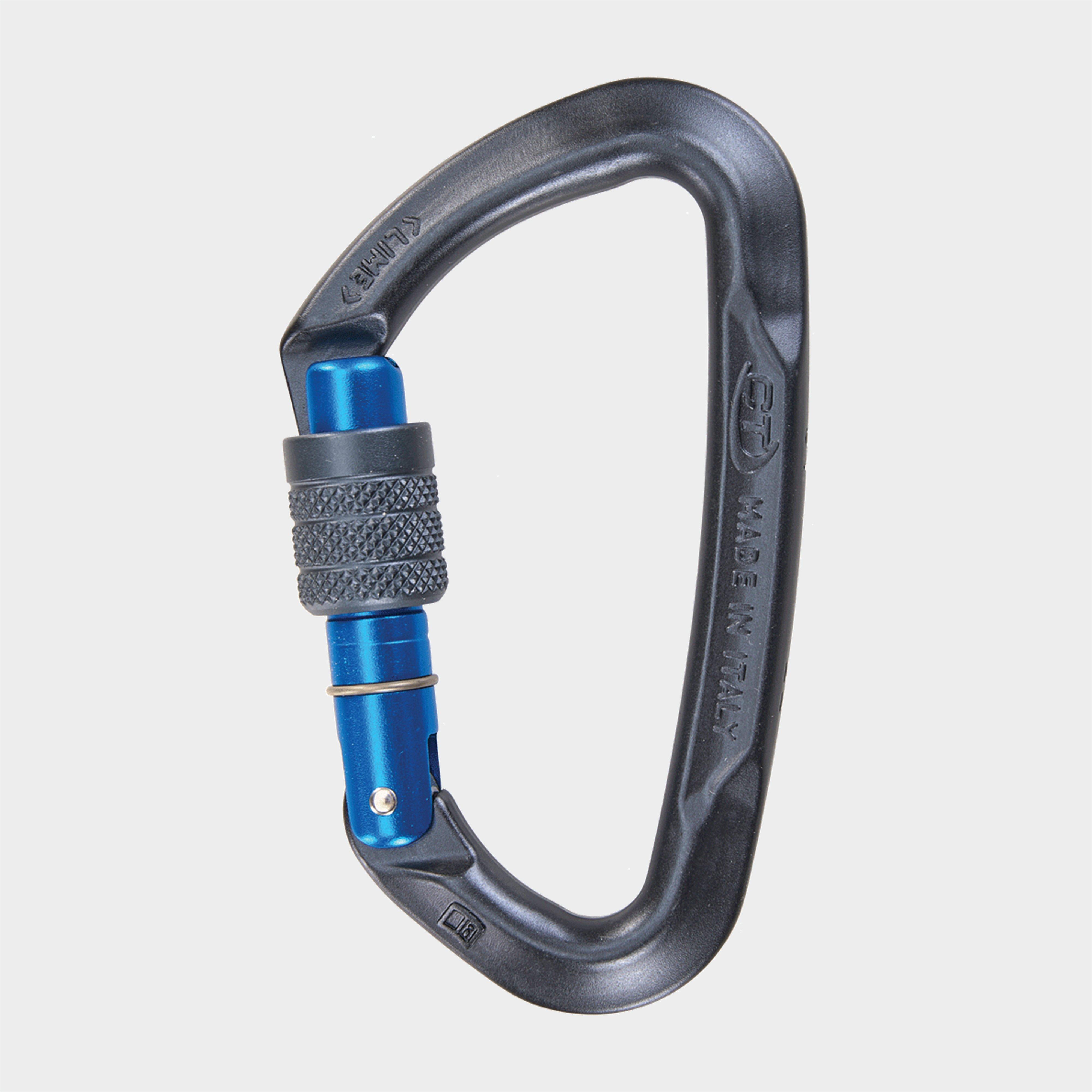 Photos - Climbing Gear Climbing Technology Lime Screwgate Carabiner 