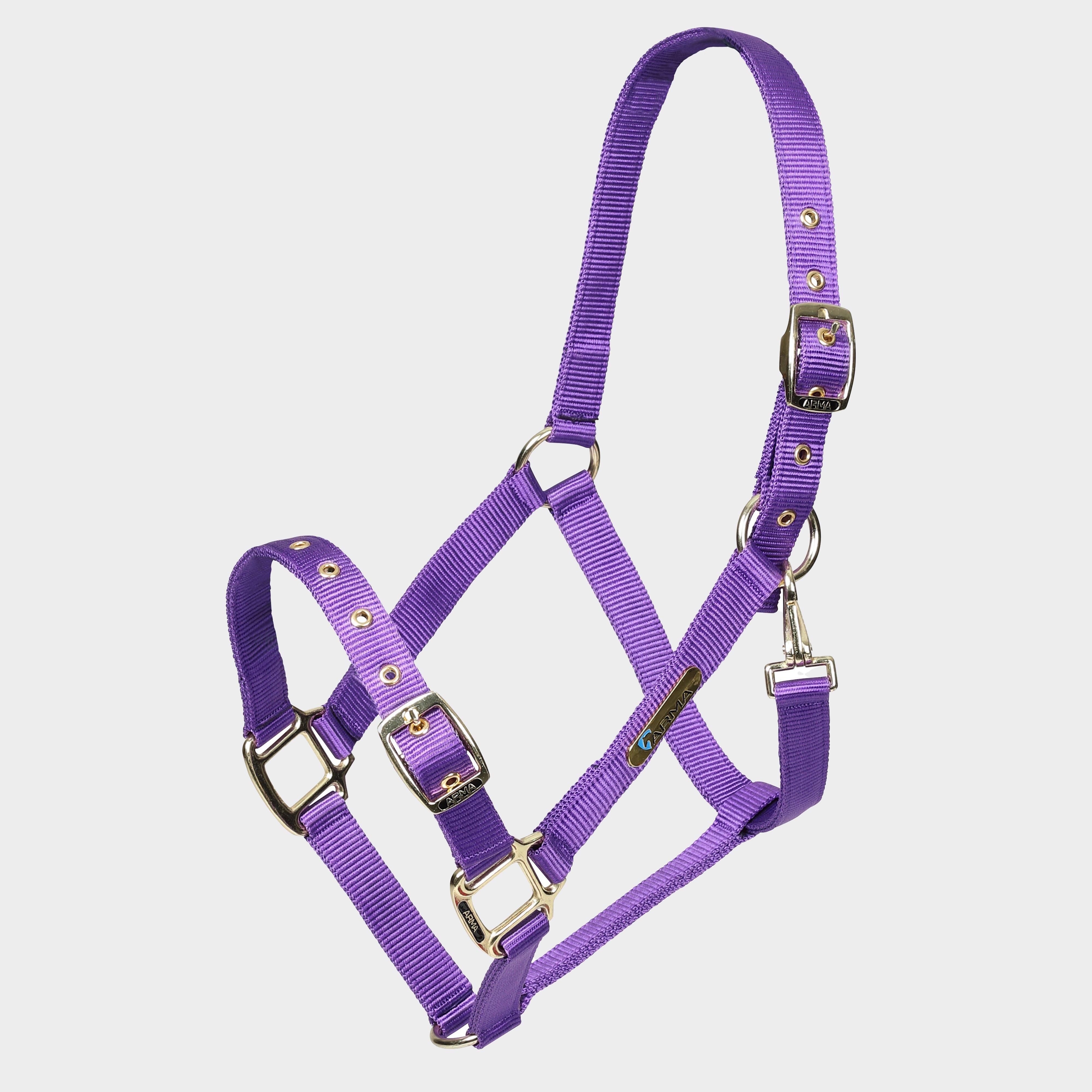 Image of Arma Adjustable Headcollar Purple, Purple