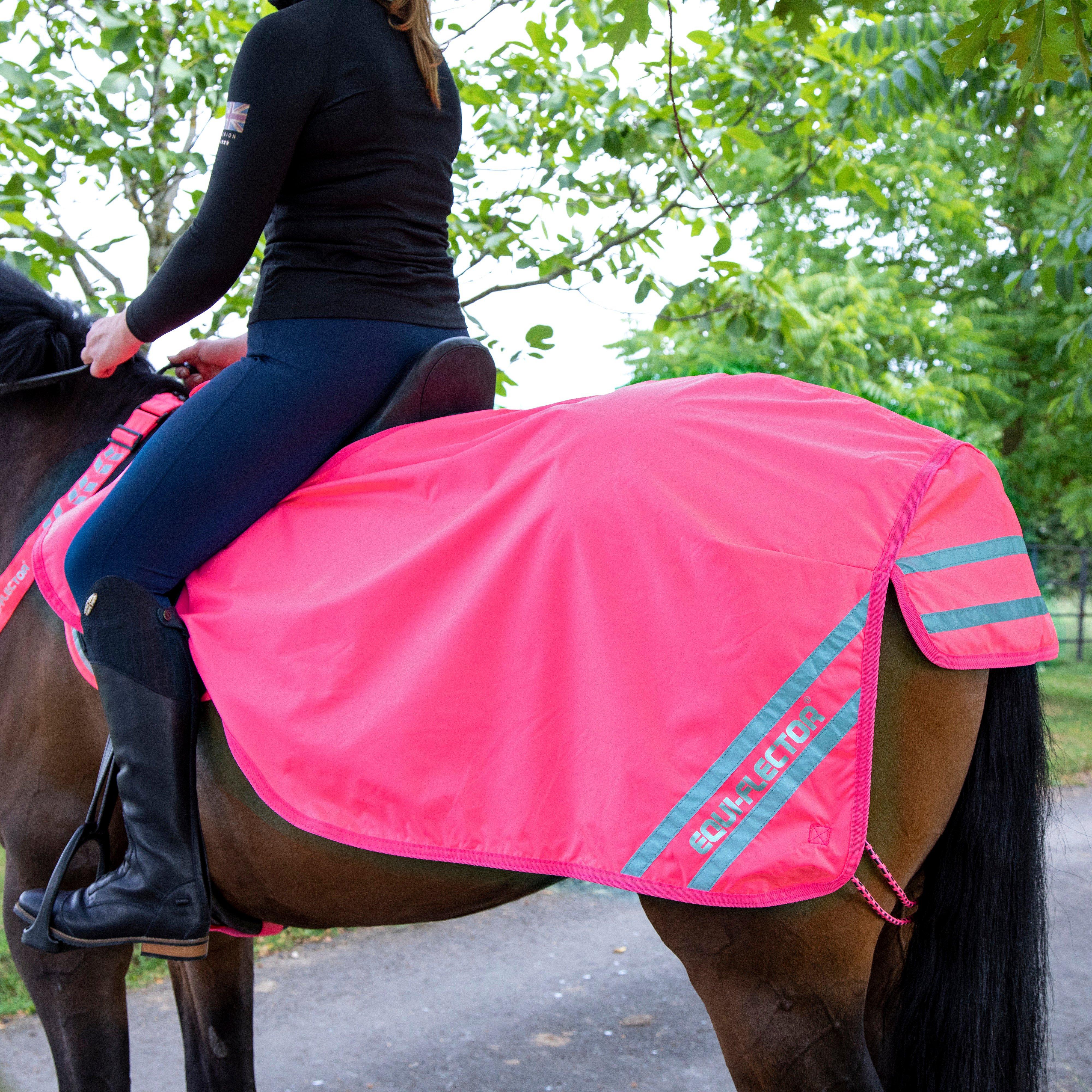 Image of EQUI-FLECTOR Waterproof Exercise Sheet, Pink