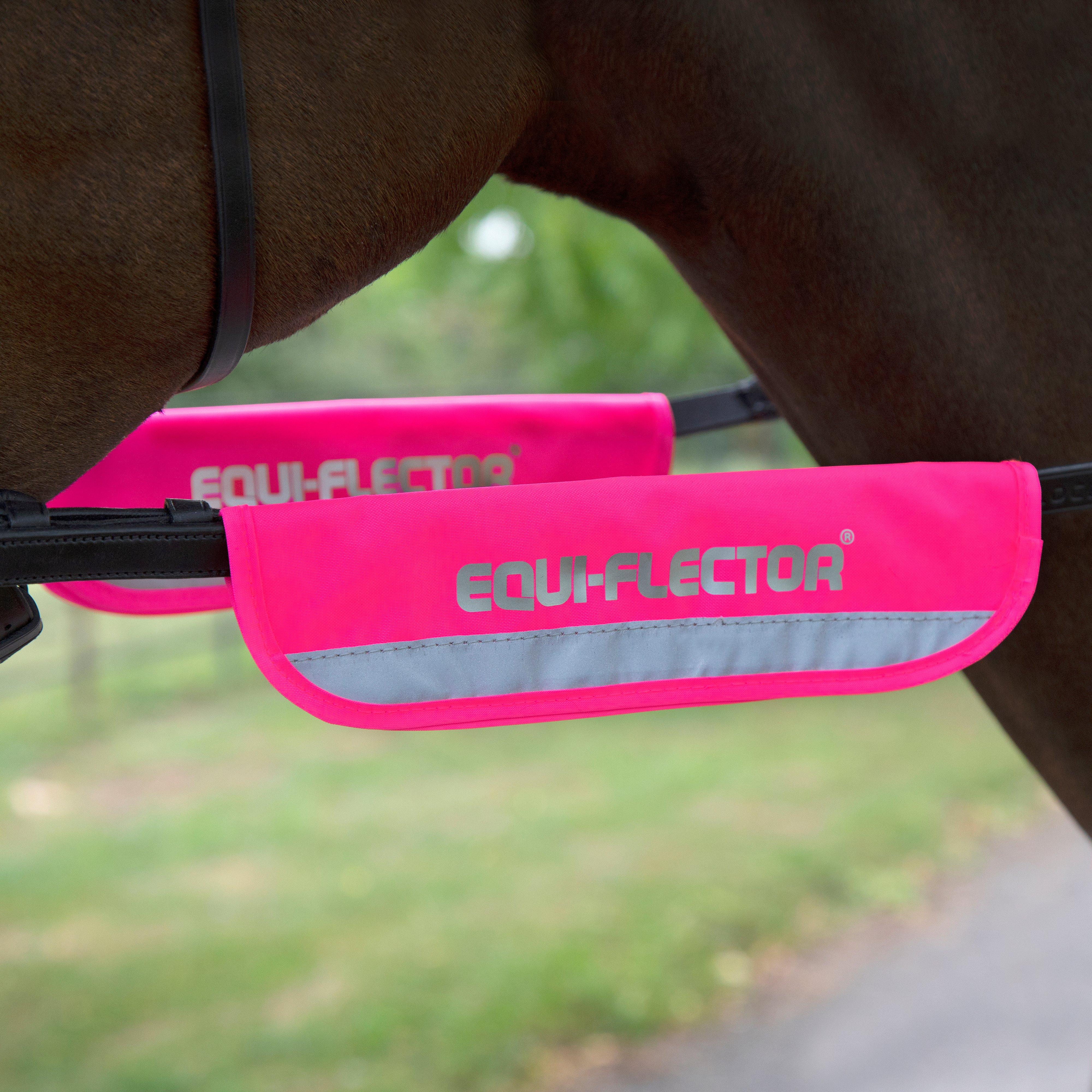 Image of EQUI-FLECTOR Bridle Bands Pink, Pink