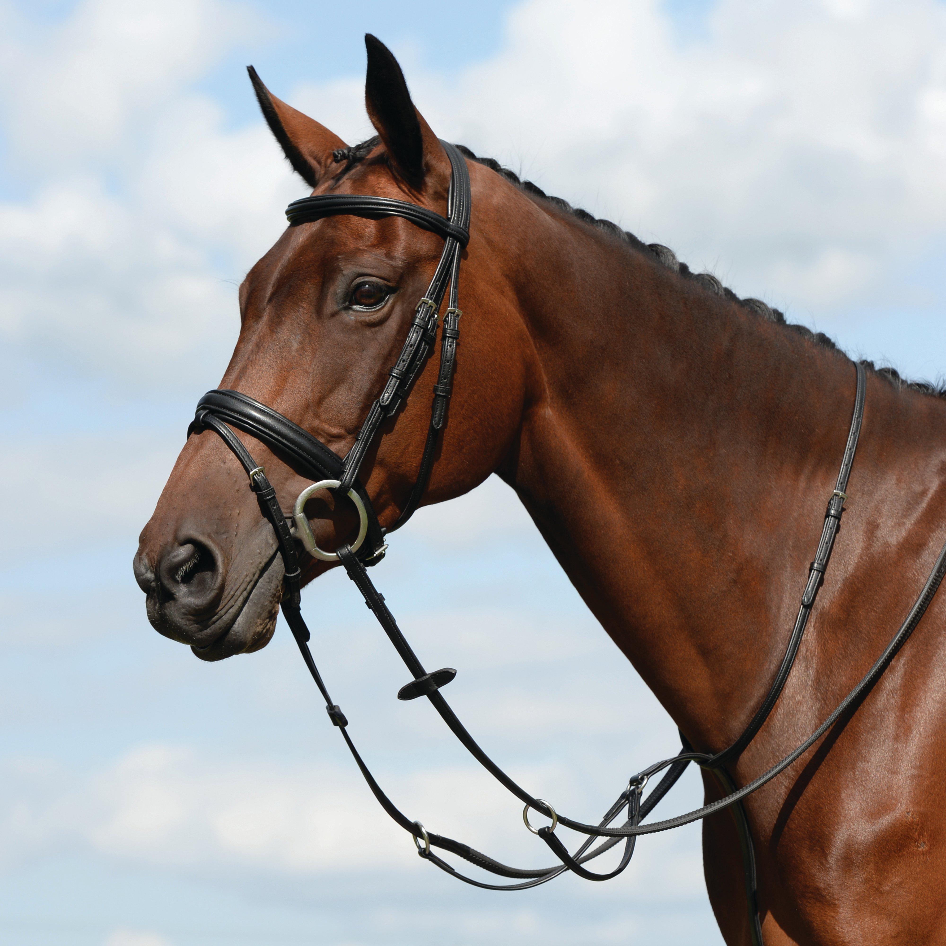 Image of Collegiate Syntovia+ Plain Flat Running Martingale, Black