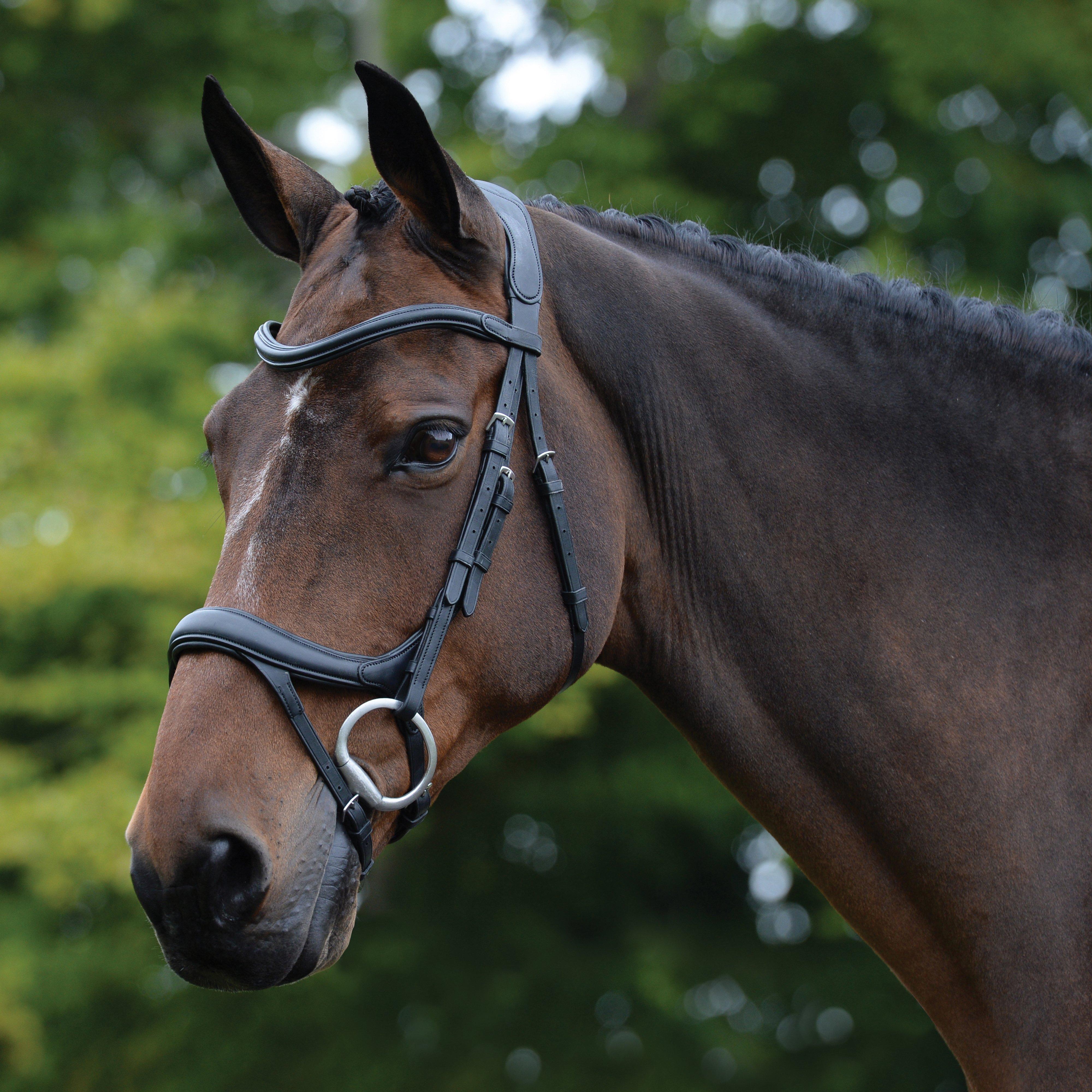  Collegiate ComFiTec Vogue Anatomical Bridle Black, Black