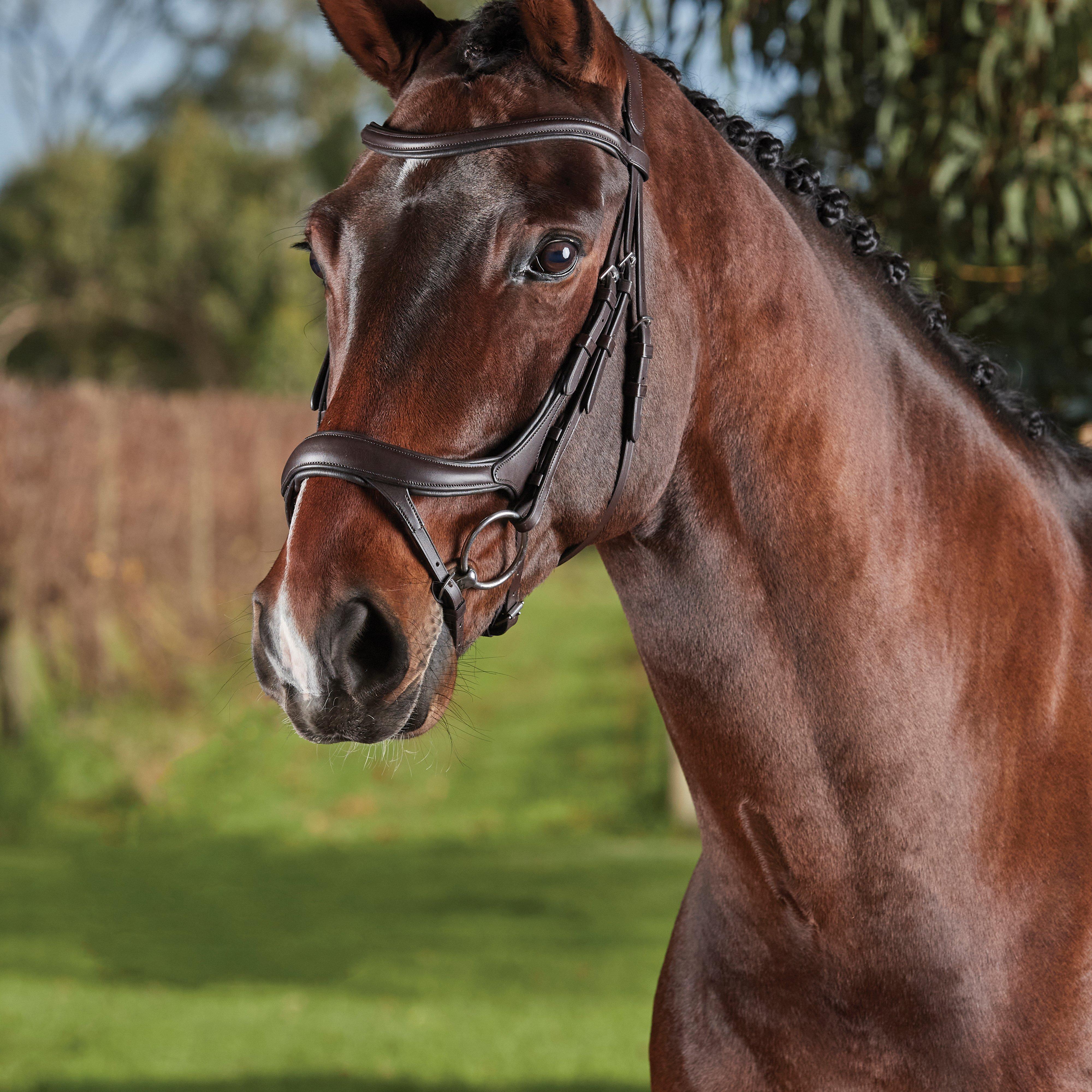 Image of Collegiate ComFiTec Vogue Anatomical Bridle Brown, Brown