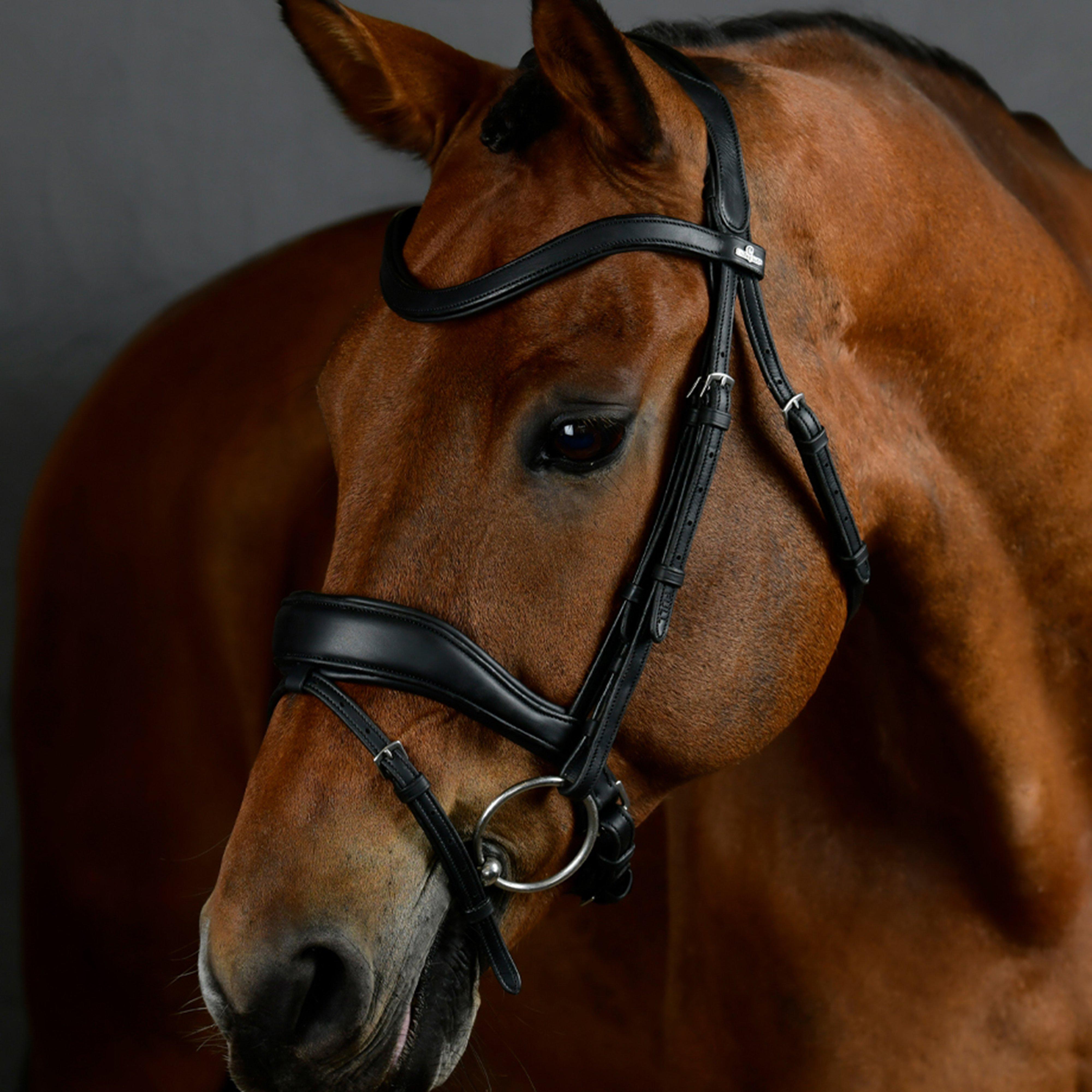 Image of Collegiate Soft Padded Leather Reins, Black