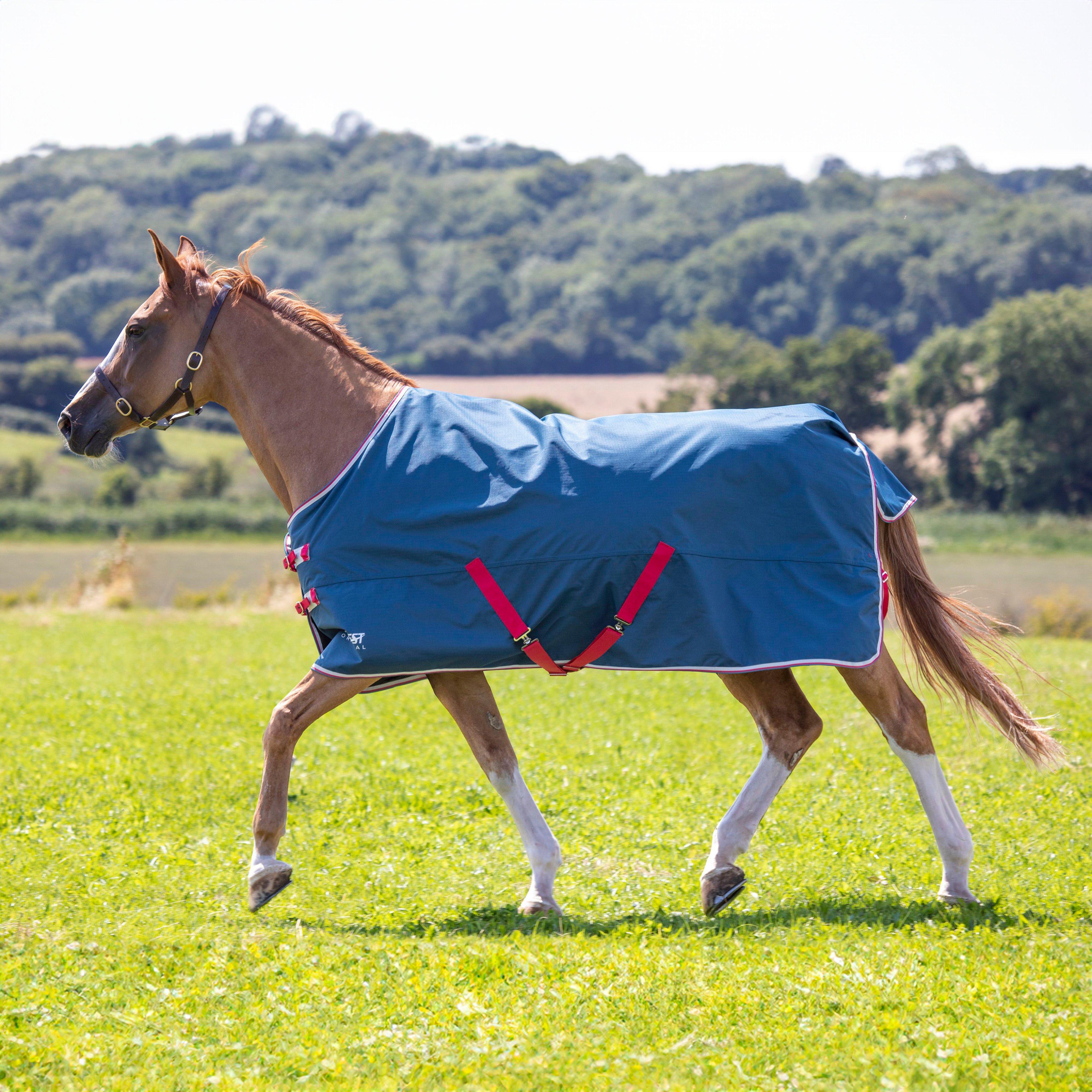 Image of Shires Original Lite Standard Turnout Rug, Blue