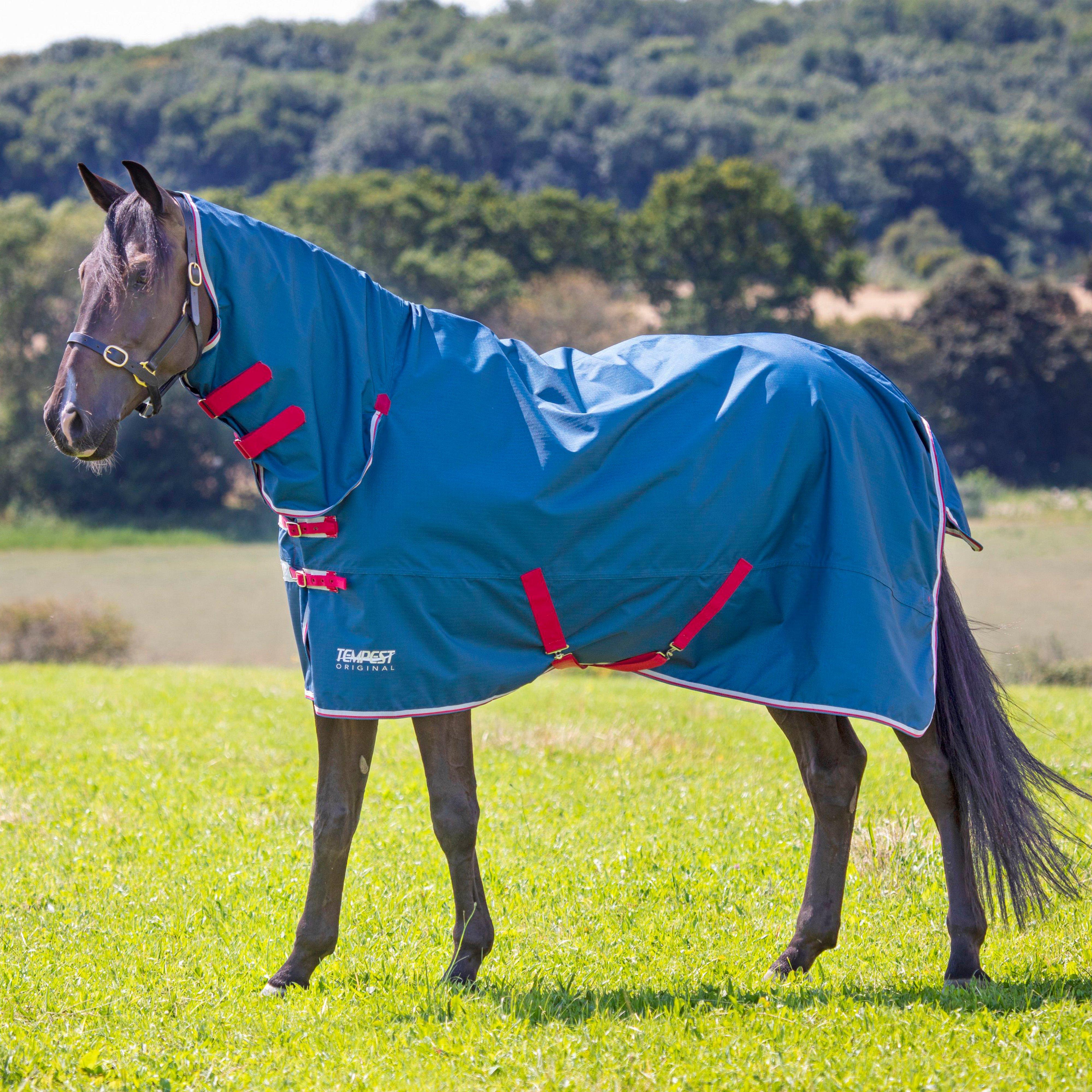 Image of Shires Tempest Original Lite Combo Turnout Rug, Teal